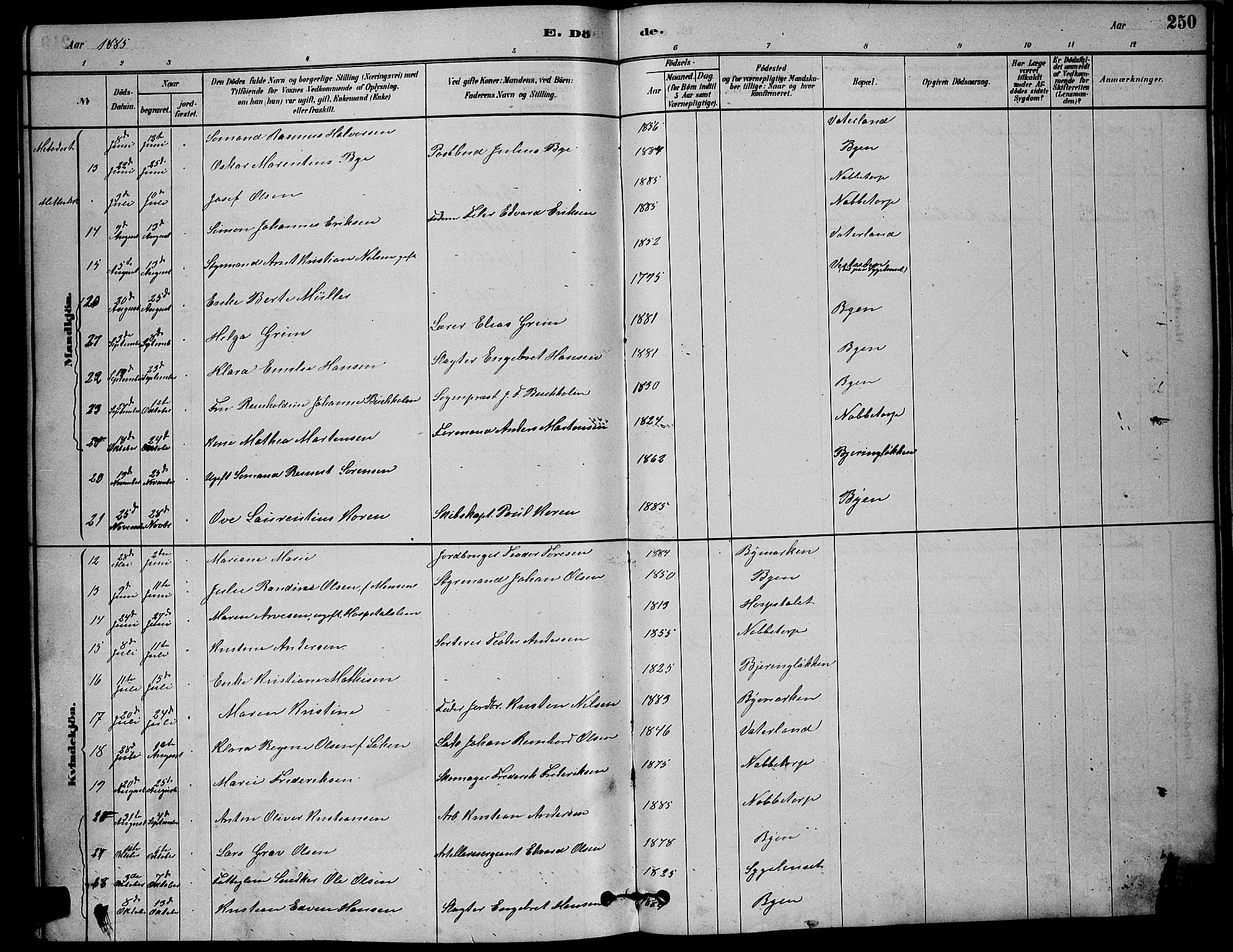 Østre Fredrikstad prestekontor Kirkebøker, SAO/A-10907/G/Ga/L0001: Parish register (copy) no. 1, 1880-1899, p. 250