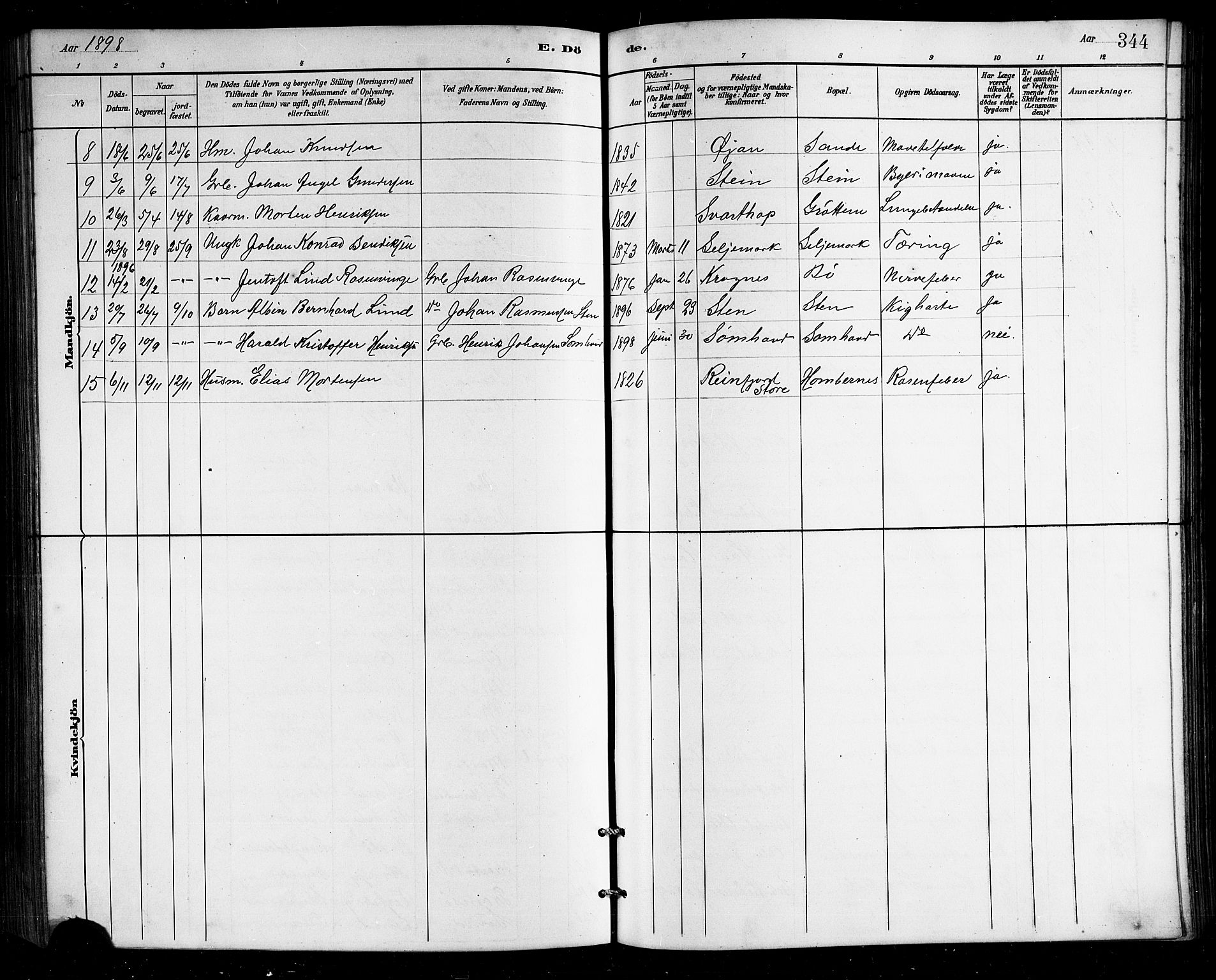 Ministerialprotokoller, klokkerbøker og fødselsregistre - Nordland, SAT/A-1459/812/L0188: Parish register (copy) no. 812C06, 1884-1912, p. 344