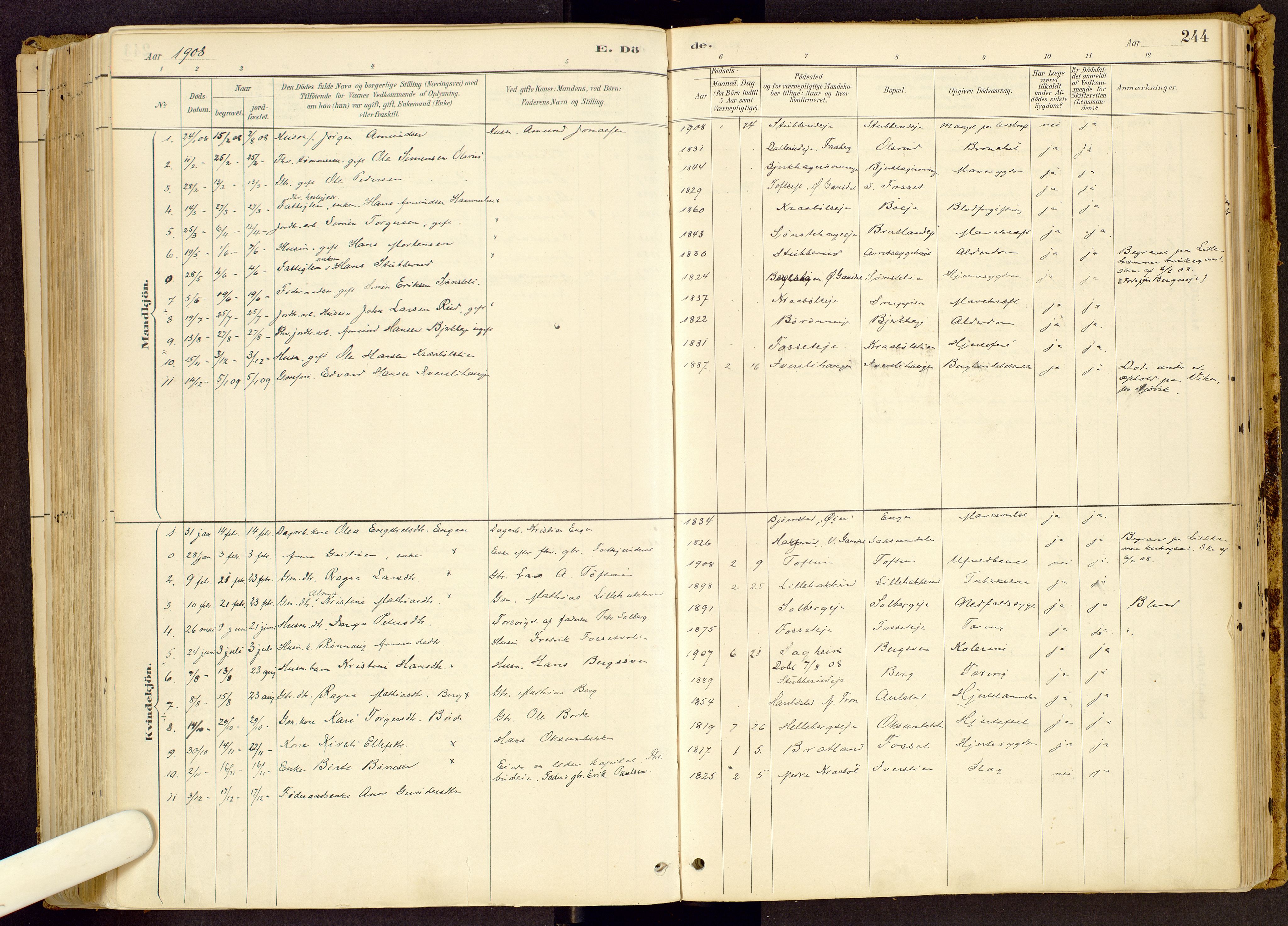 Vestre Gausdal prestekontor, SAH/PREST-094/H/Ha/Haa/L0001: Parish register (official) no. 1, 1887-1914, p. 244