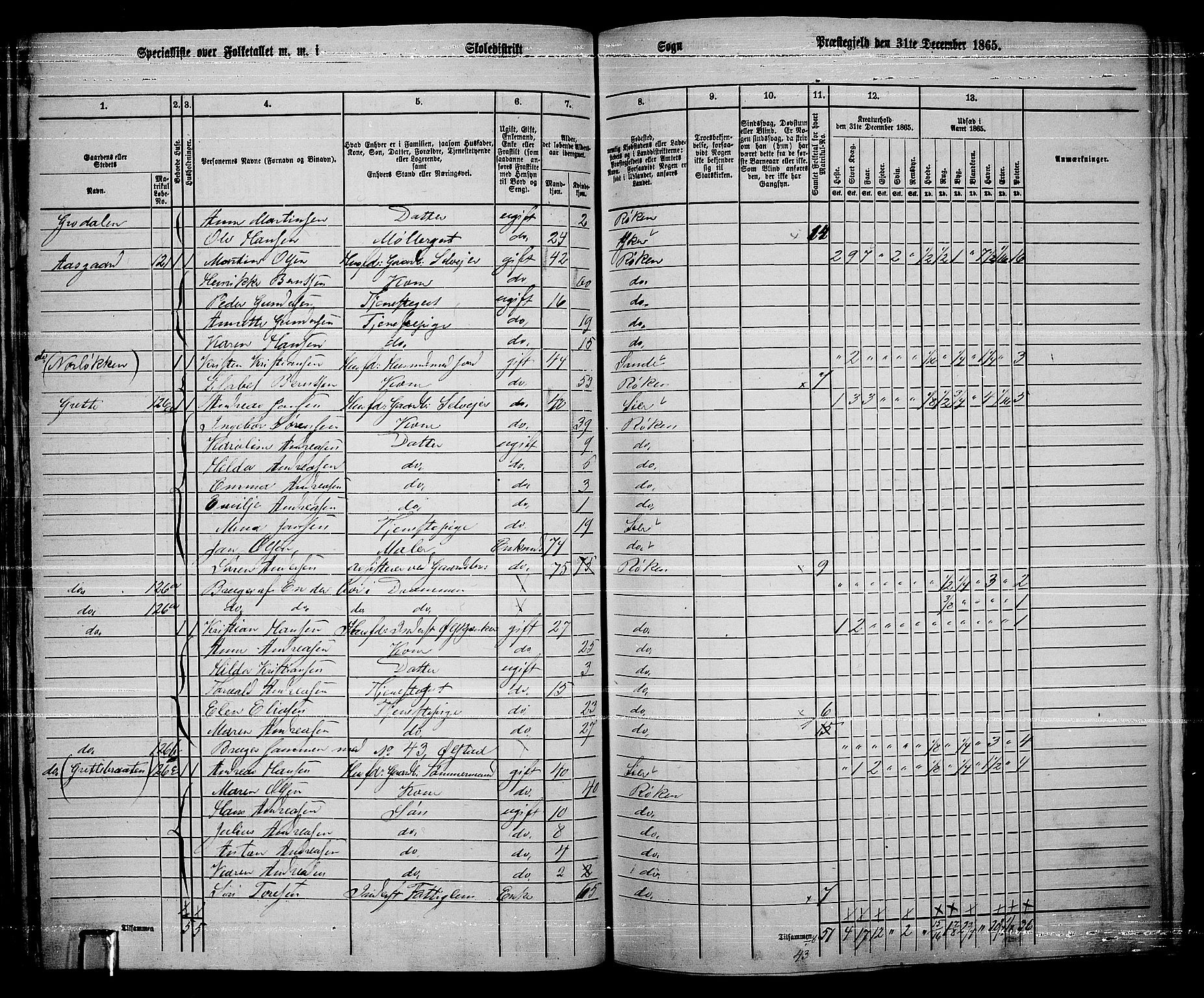 RA, 1865 census for Røyken, 1865, p. 55