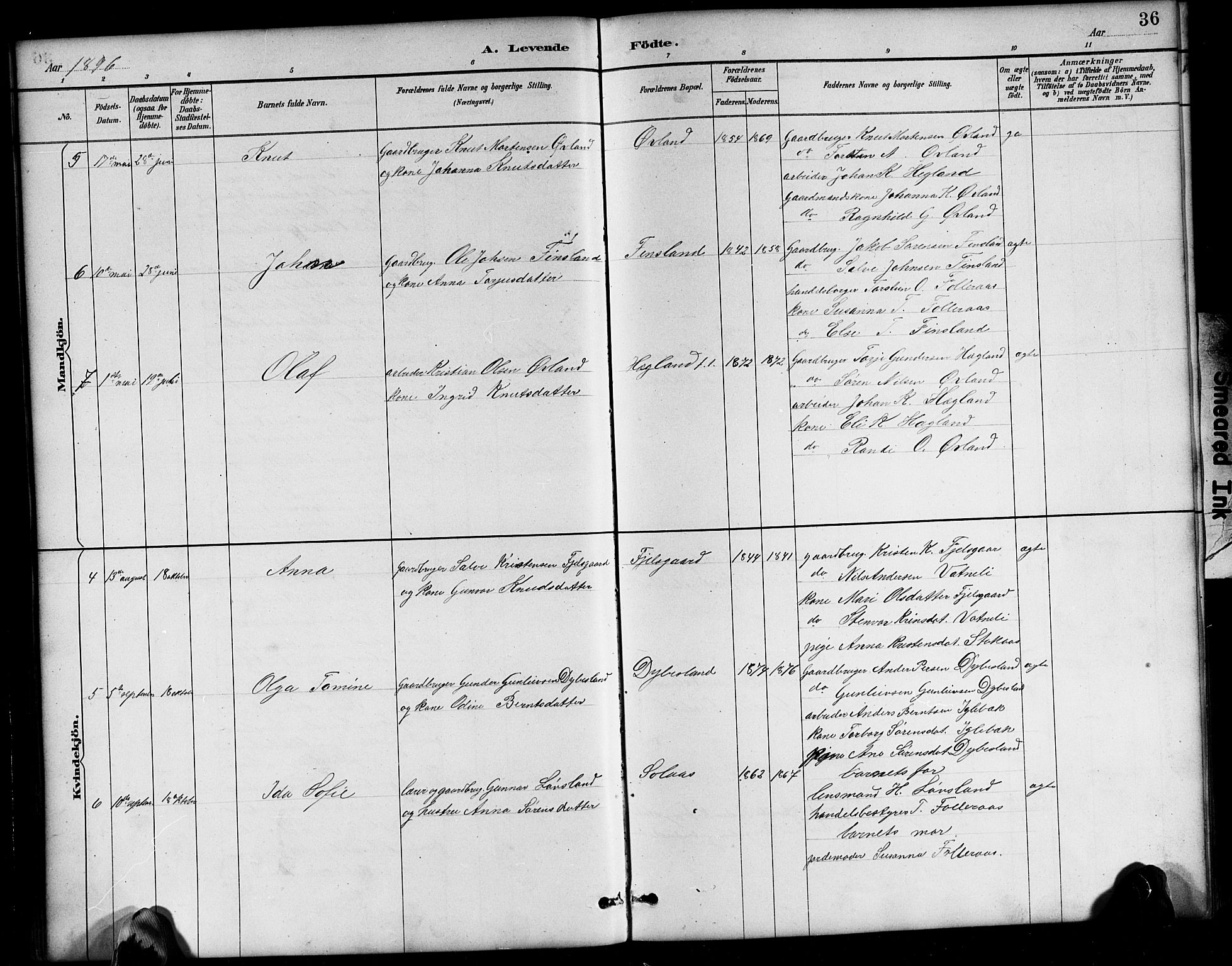 Bjelland sokneprestkontor, AV/SAK-1111-0005/F/Fb/Fbb/L0005: Parish register (copy) no. B 5, 1887-1918, p. 36