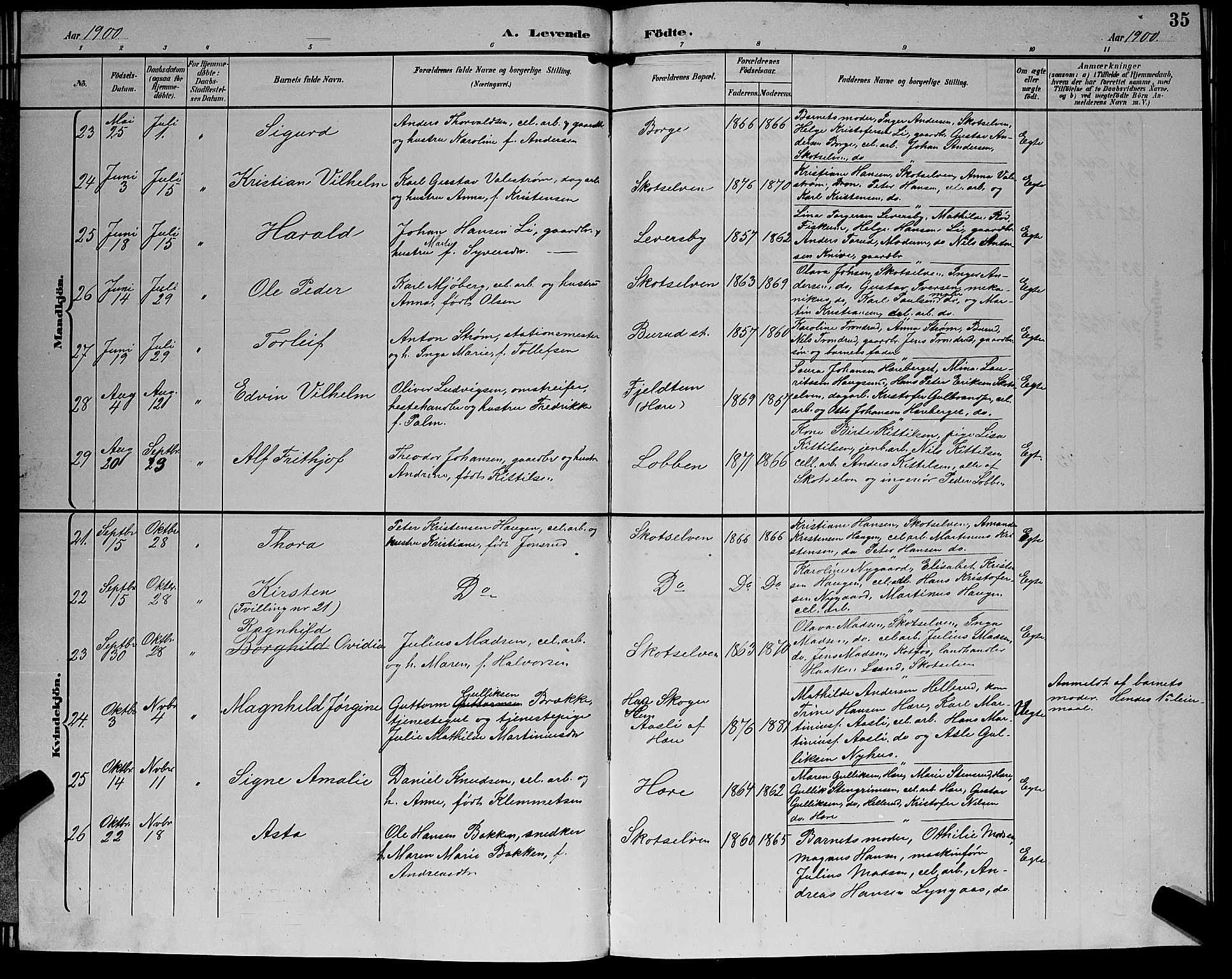 Eiker kirkebøker, AV/SAKO-A-4/G/Gb/L0004: Parish register (copy) no. II 4, 1894-1900, p. 35