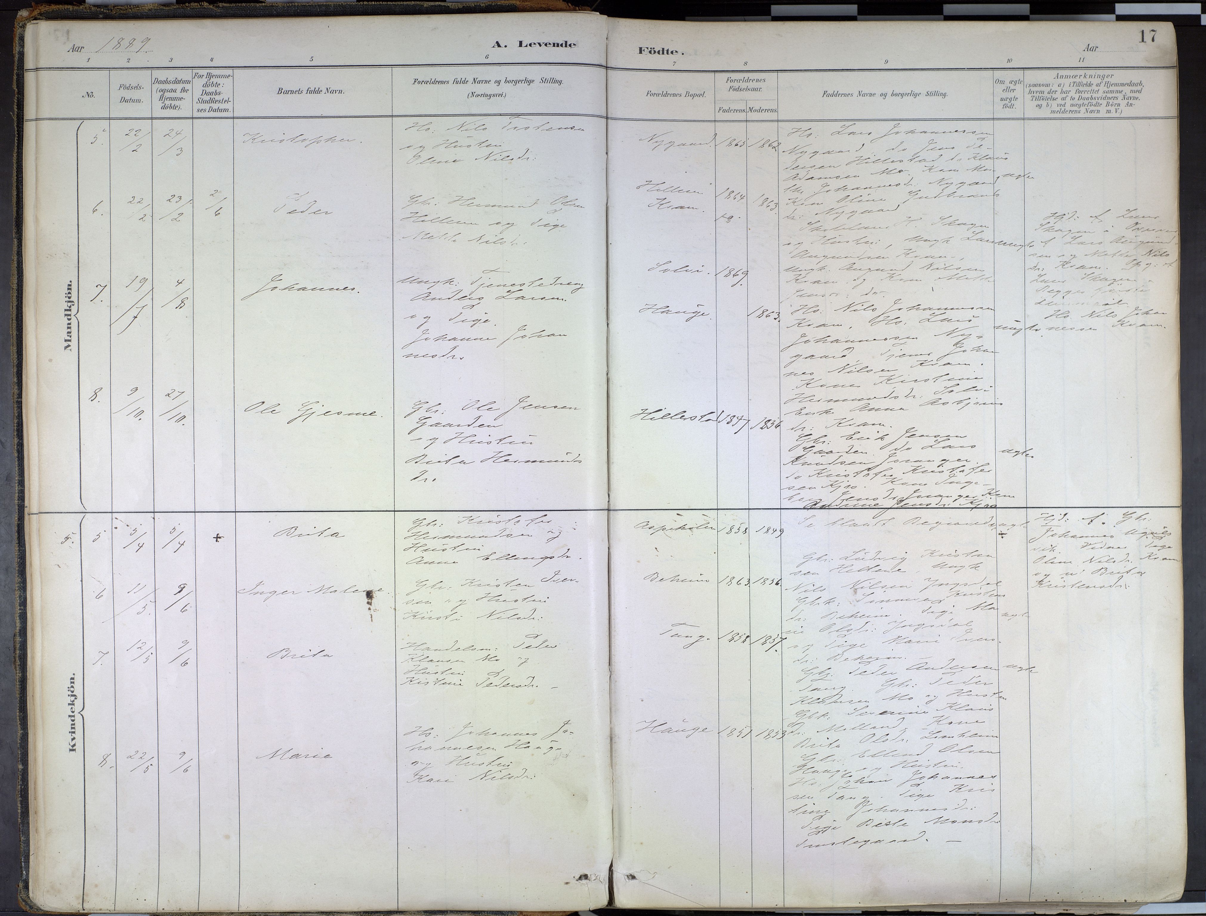 Hafslo sokneprestembete, AV/SAB-A-80301/H/Haa/Haab/L0001: Parish register (official) no. B 1, 1886-1945, p. 17