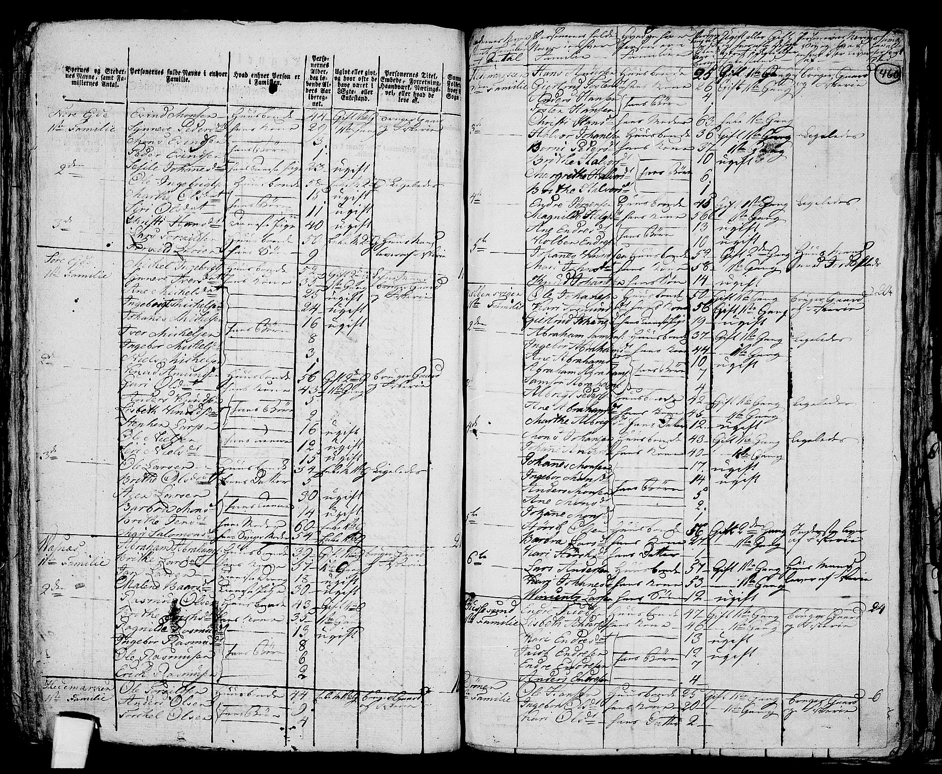 RA, 1801 census for 1245P Sund, 1801, p. 459b-460a
