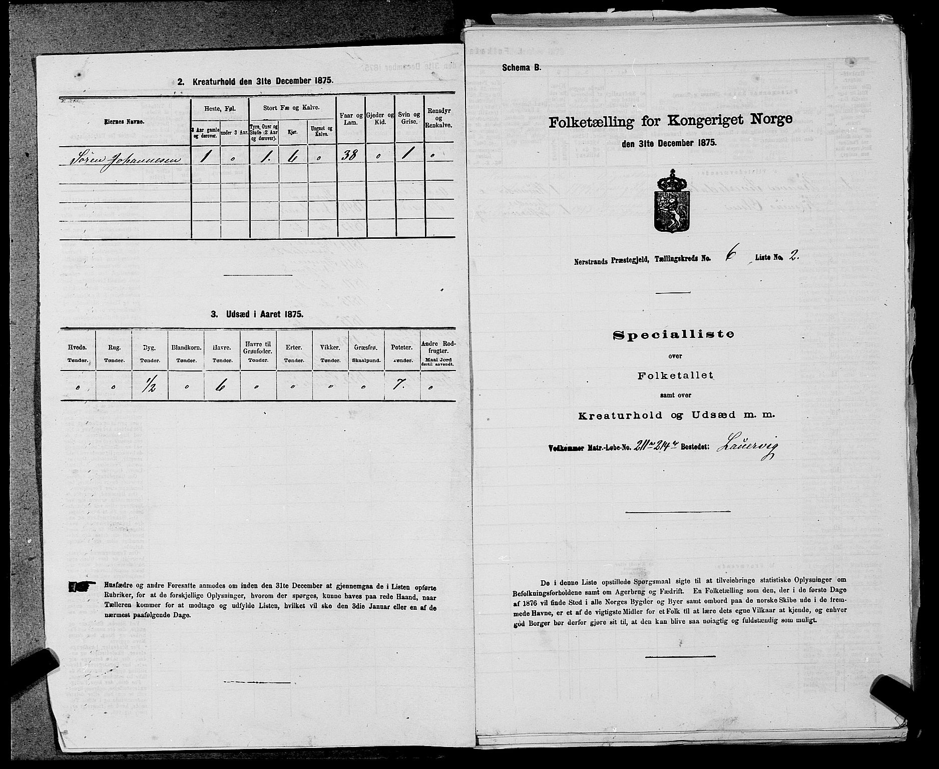 SAST, 1875 census for 1139P Nedstrand, 1875, p. 641