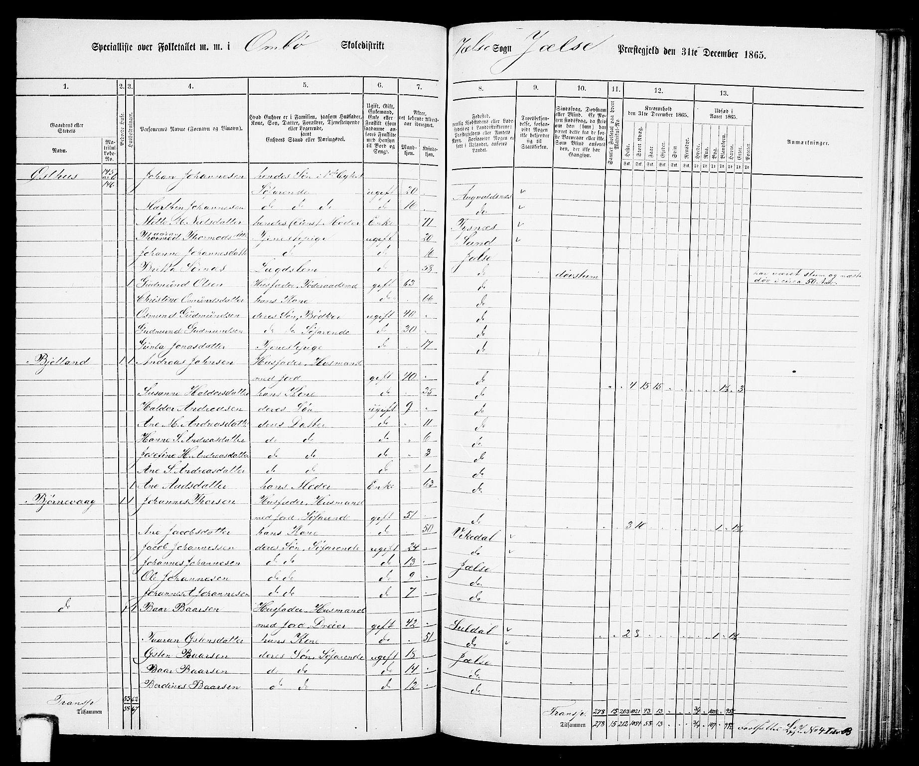 RA, 1865 census for Jelsa, 1865, p. 74