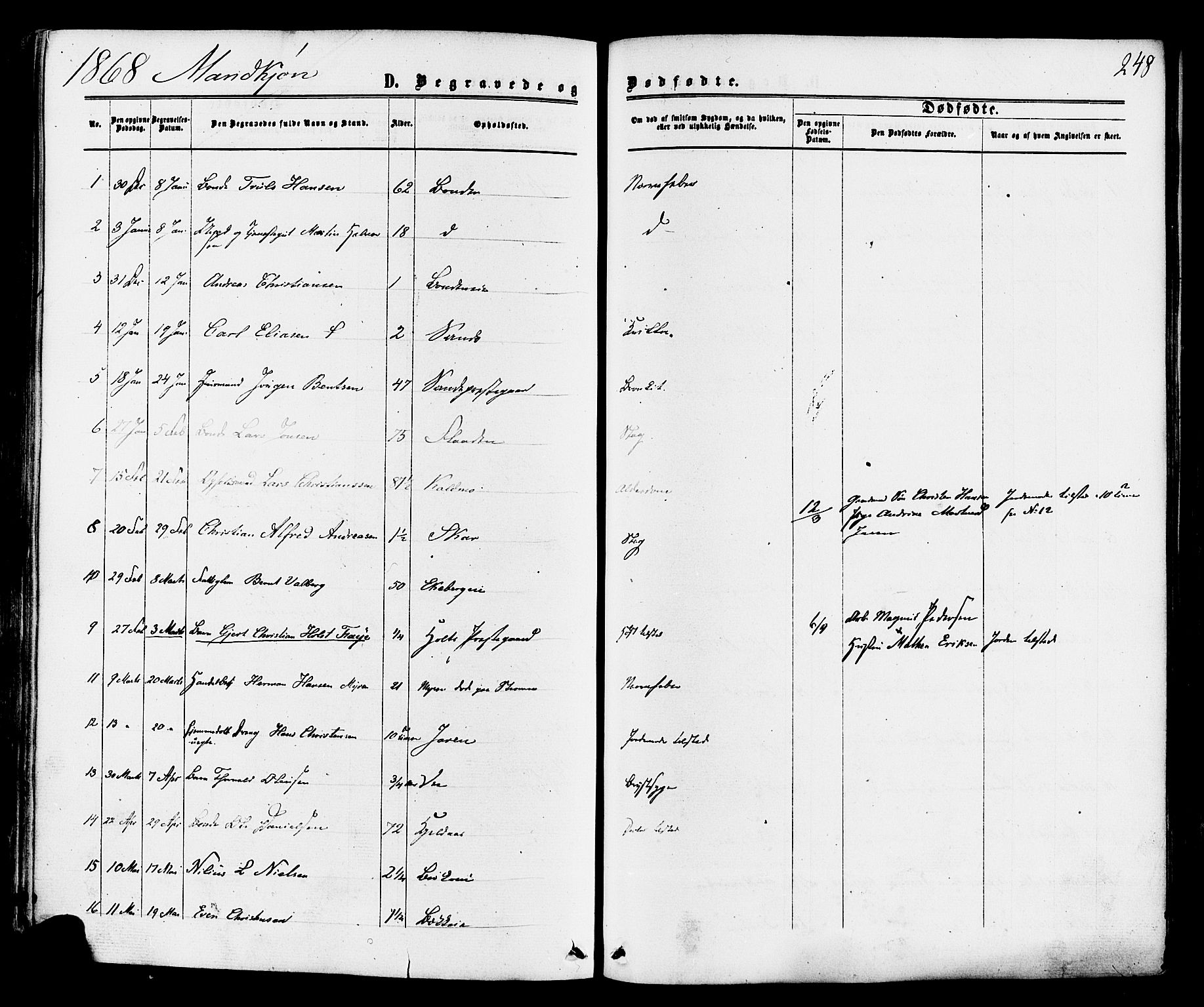 Sande Kirkebøker, AV/SAKO-A-53/F/Fa/L0005: Parish register (official) no. 5, 1865-1877, p. 248