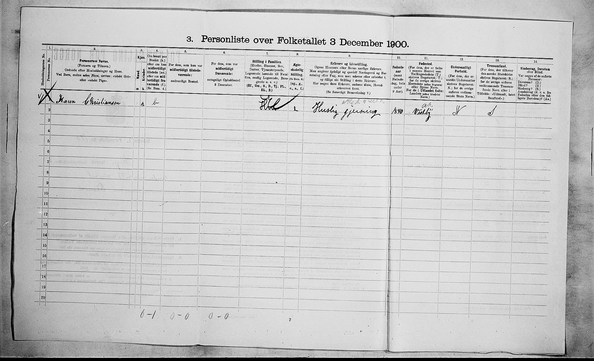 RA, 1900 census for Skoger, 1900, p. 993