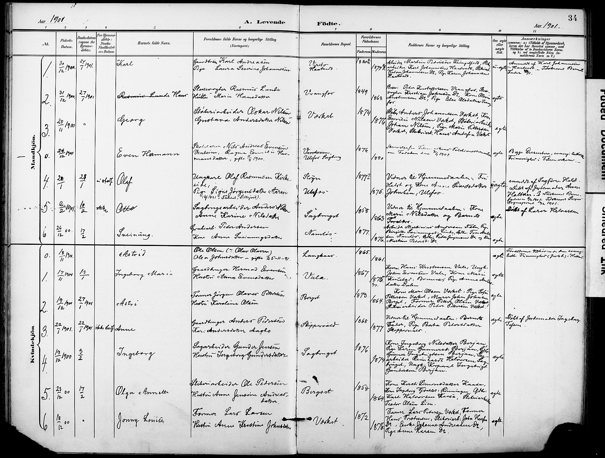 Holla kirkebøker, AV/SAKO-A-272/F/Fa/L0010: Parish register (official) no. 10, 1897-1907, p. 34