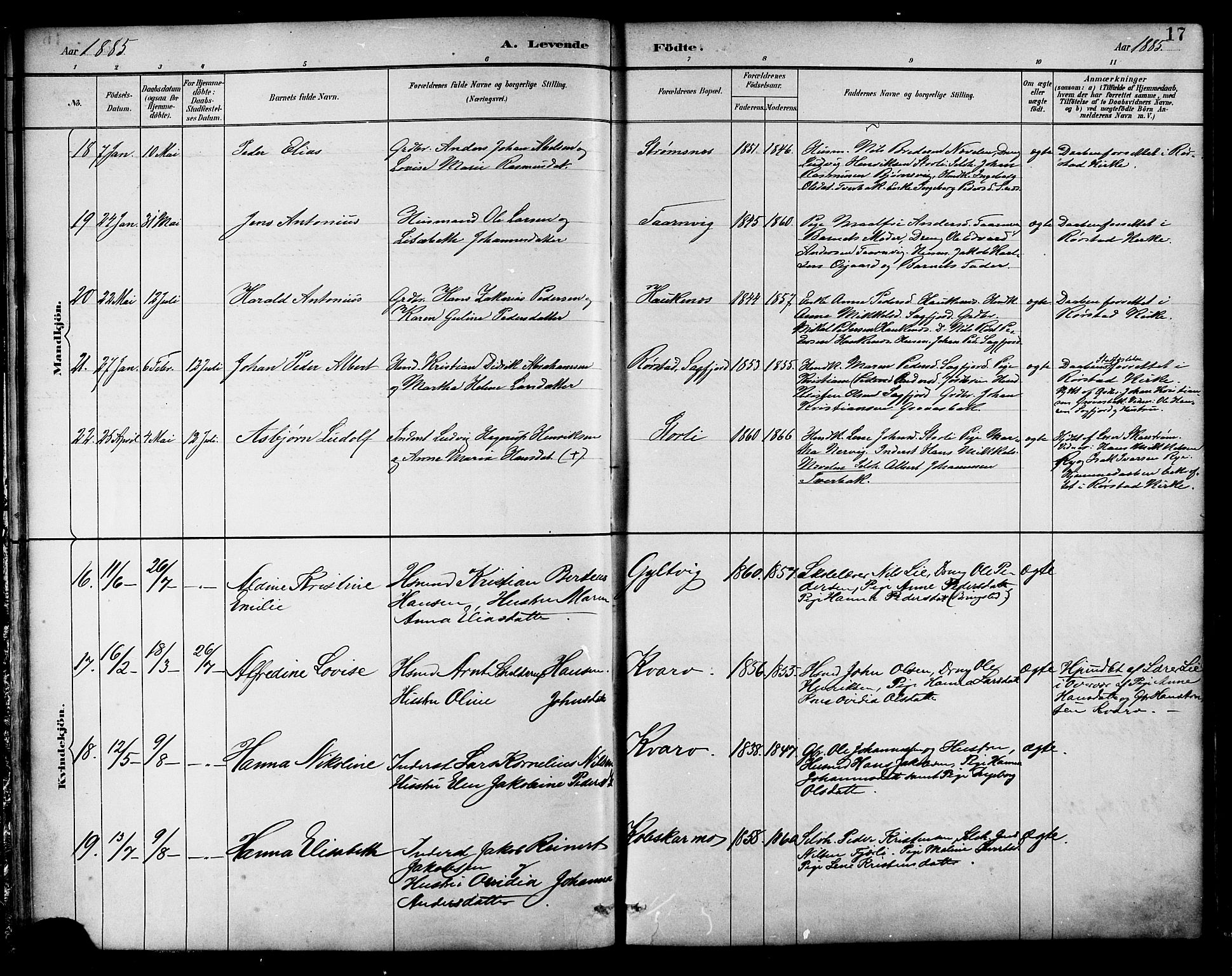 Ministerialprotokoller, klokkerbøker og fødselsregistre - Nordland, AV/SAT-A-1459/854/L0777: Parish register (official) no. 854A01 /1, 1883-1891, p. 17