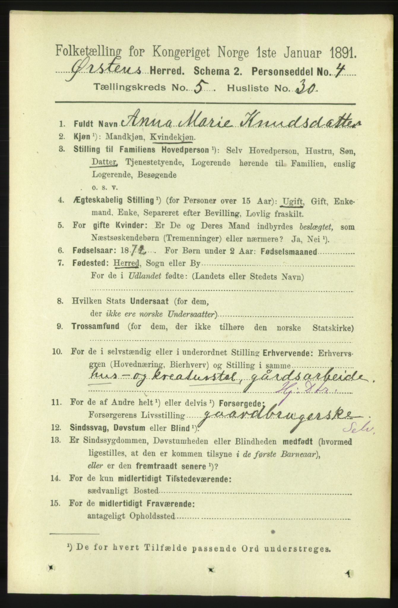 RA, 1891 census for 1520 Ørsta, 1891, p. 2456