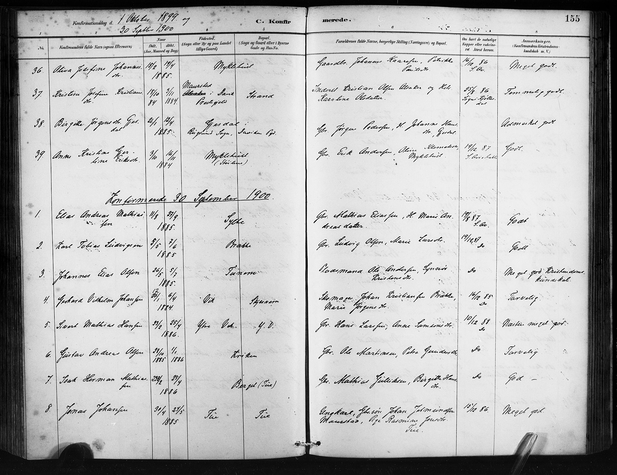 Ministerialprotokoller, klokkerbøker og fødselsregistre - Møre og Romsdal, AV/SAT-A-1454/501/L0008: Parish register (official) no. 501A08, 1885-1901, p. 155