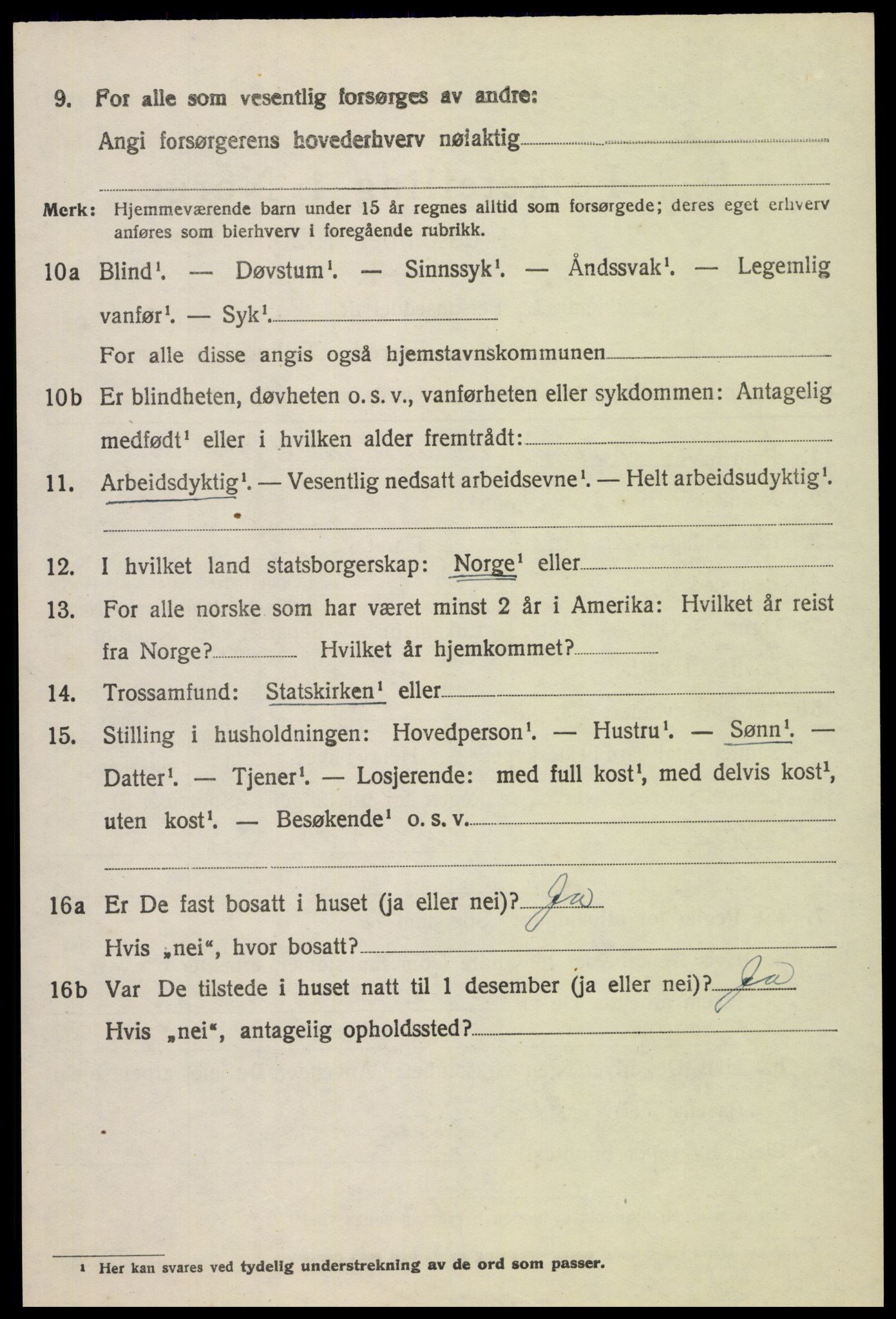 SAH, 1920 census for Sel, 1920, p. 3131