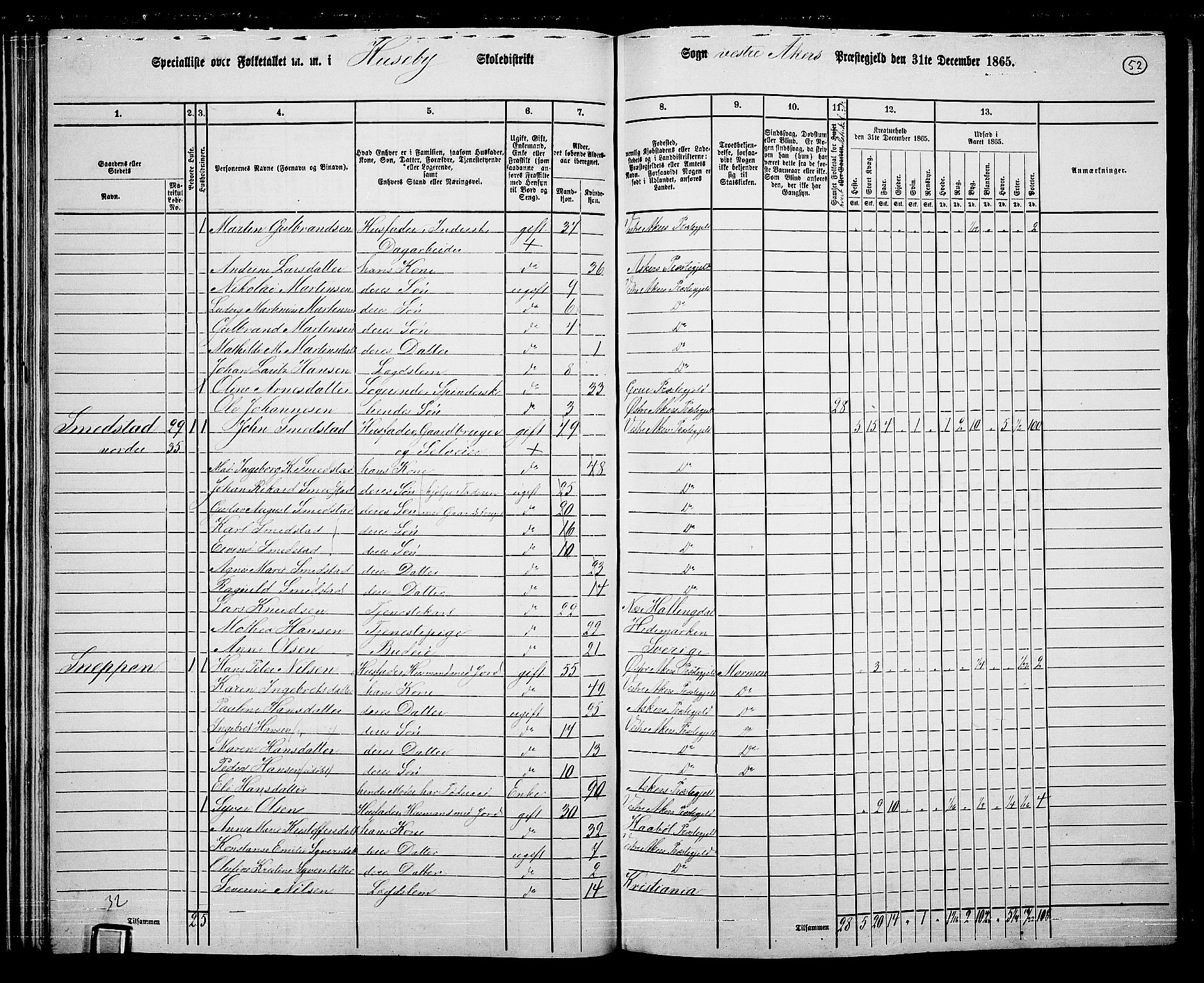 RA, 1865 census for Vestre Aker, 1865, p. 225