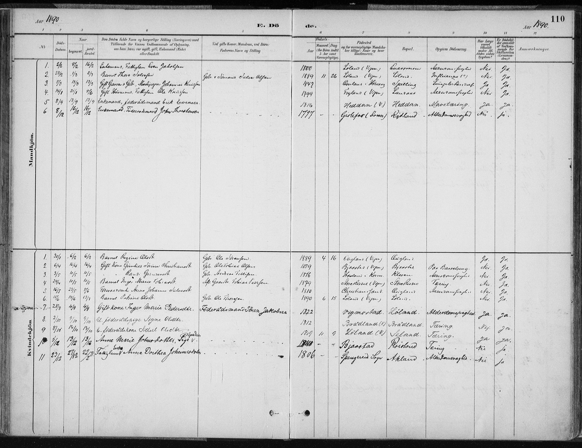 Nord-Audnedal sokneprestkontor, AV/SAK-1111-0032/F/Fa/Fab/L0003: Parish register (official) no. A 3, 1882-1900, p. 110