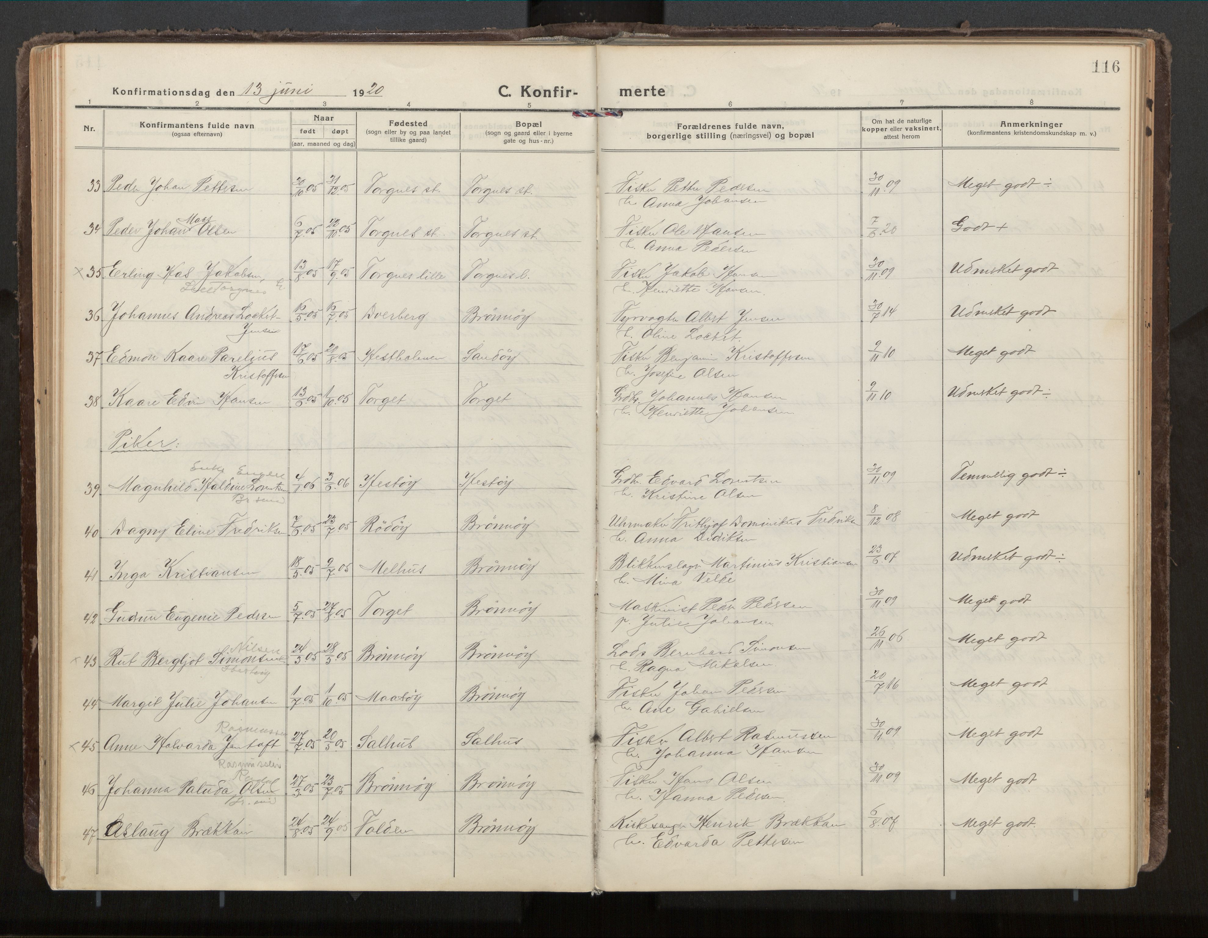 Ministerialprotokoller, klokkerbøker og fødselsregistre - Nordland, AV/SAT-A-1459/813/L0207a: Parish register (official) no. 813A18, 1919-1927, p. 116