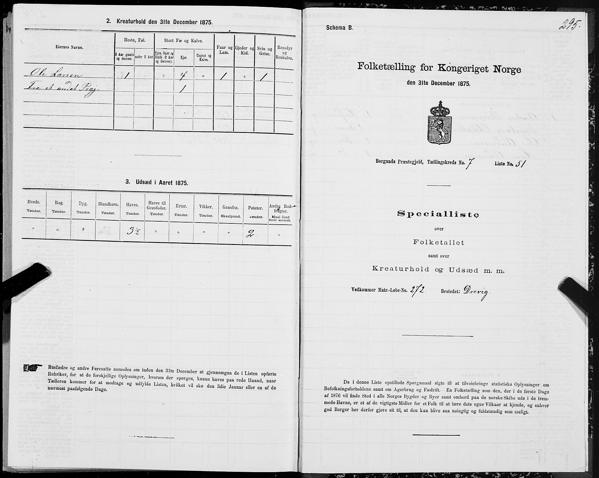 SAT, 1875 census for 1531P Borgund, 1875, p. 4295