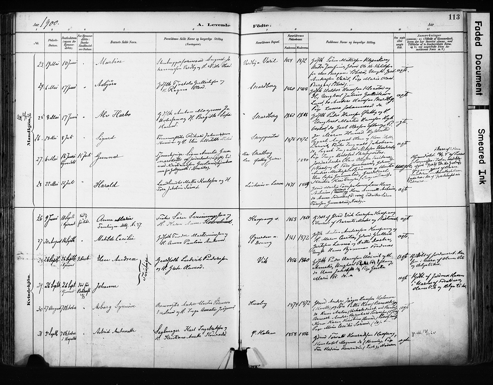 Tjølling kirkebøker, SAKO/A-60/F/Fa/L0009: Parish register (official) no. 9, 1887-1905, p. 113