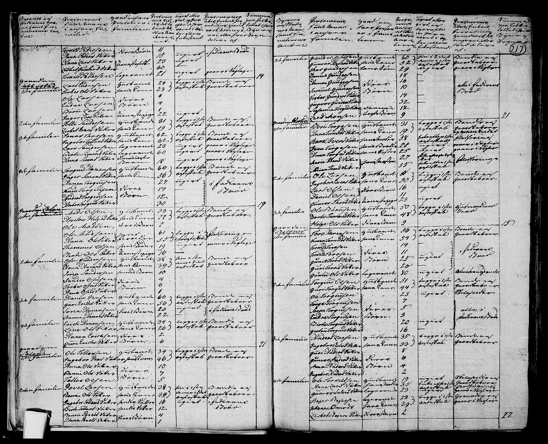 RA, 1801 census for 1024P Bjelland, 1801, p. 216b-217a