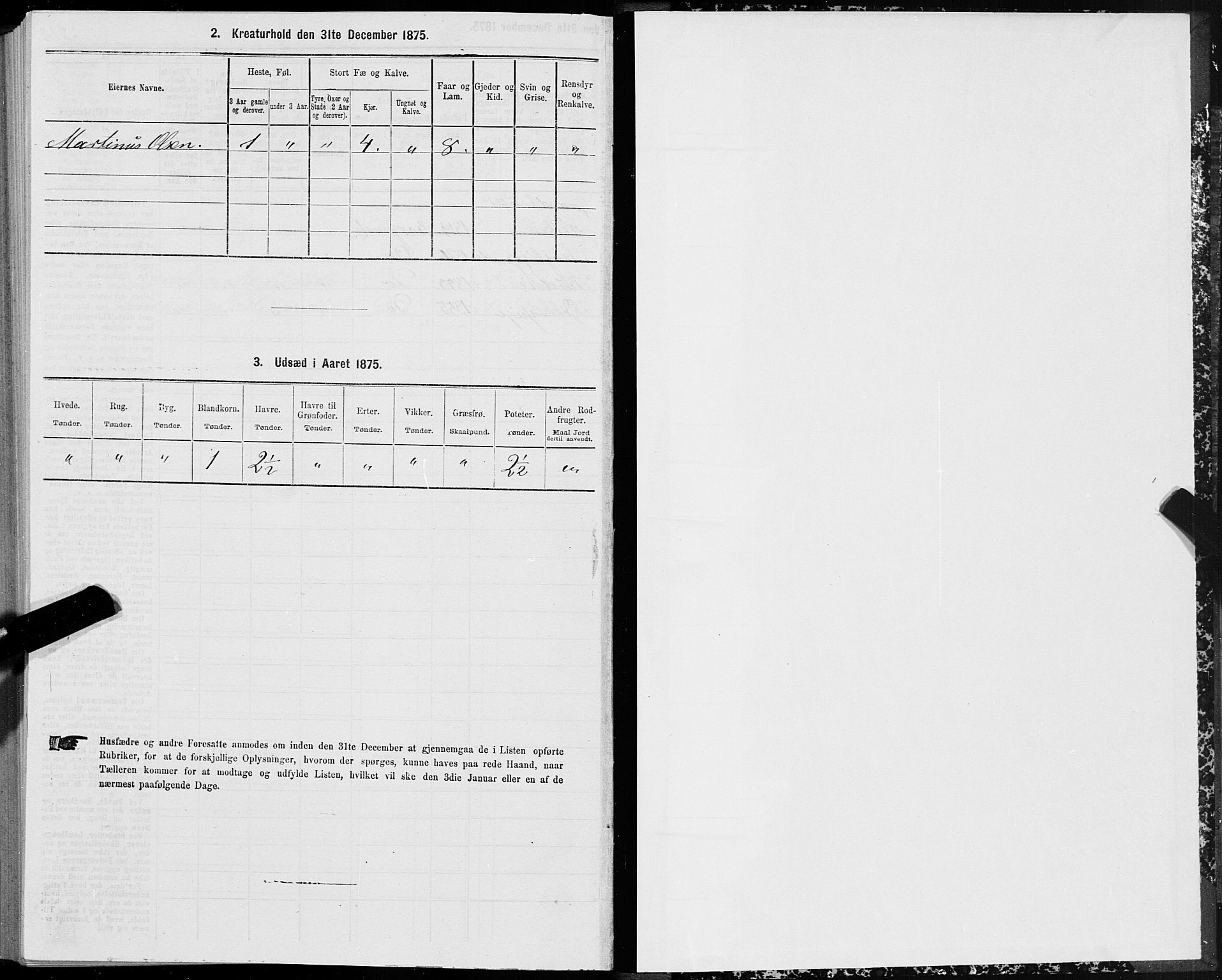 SAT, 1875 census for 1531P Borgund, 1875