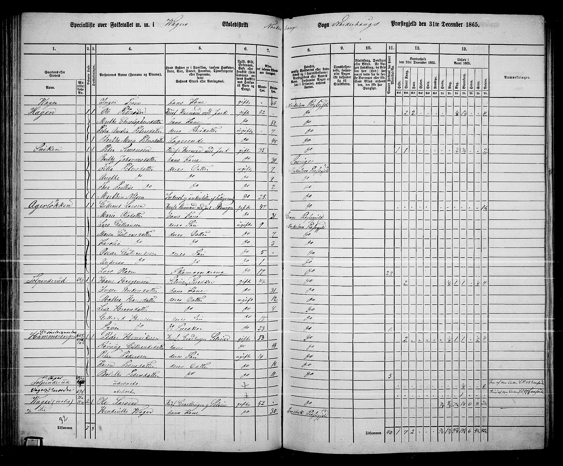 RA, 1865 census for Norderhov/Norderhov, Haug og Lunder, 1865, p. 99