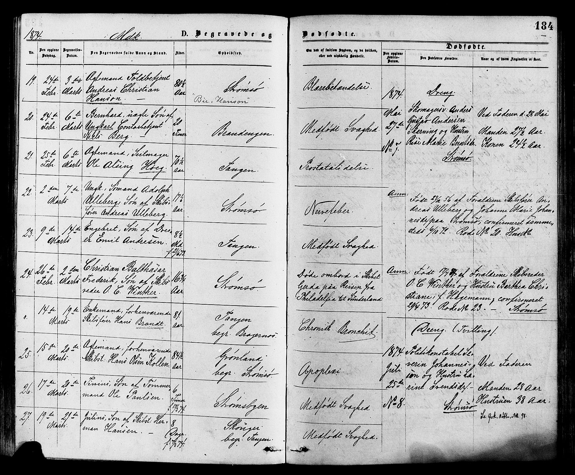 Strømsø kirkebøker, AV/SAKO-A-246/F/Fa/L0019: Parish register (official) no. I 19, 1874-1877, p. 184