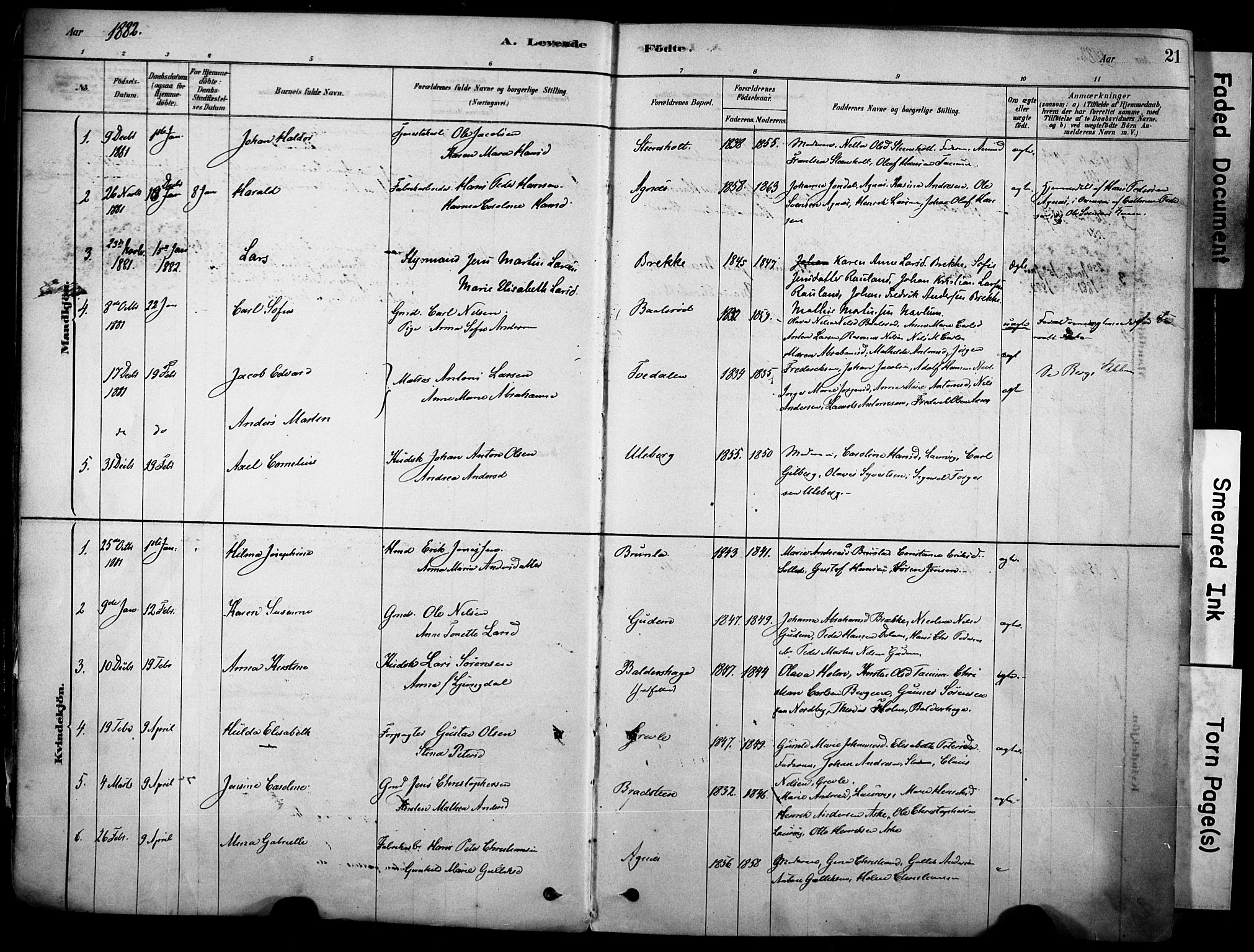 Brunlanes kirkebøker, AV/SAKO-A-342/F/Fc/L0001: Parish register (official) no. III 1, 1878-1899, p. 21