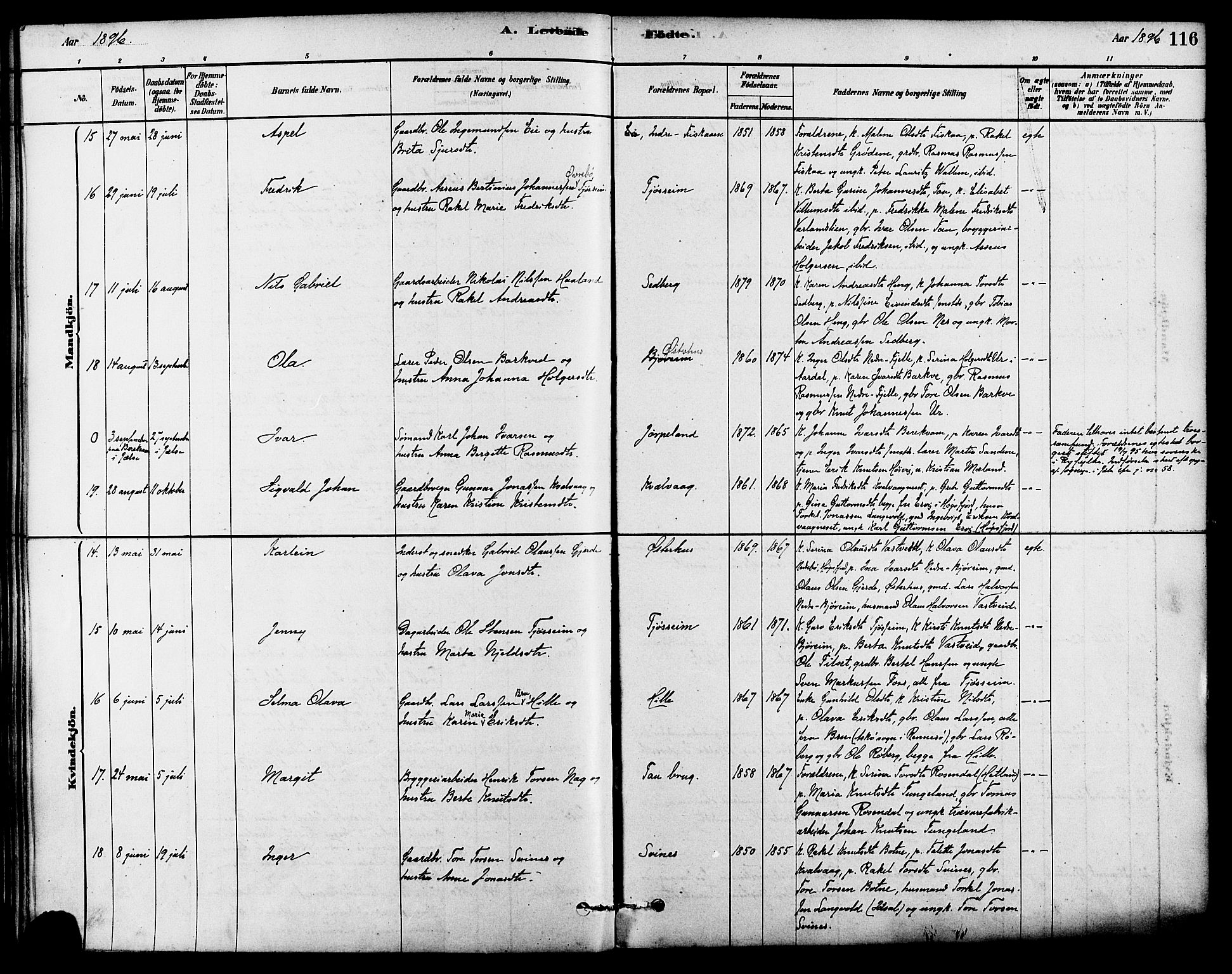 Strand sokneprestkontor, AV/SAST-A-101828/H/Ha/Haa/L0009: Parish register (official) no. A 9, 1877-1908, p. 116