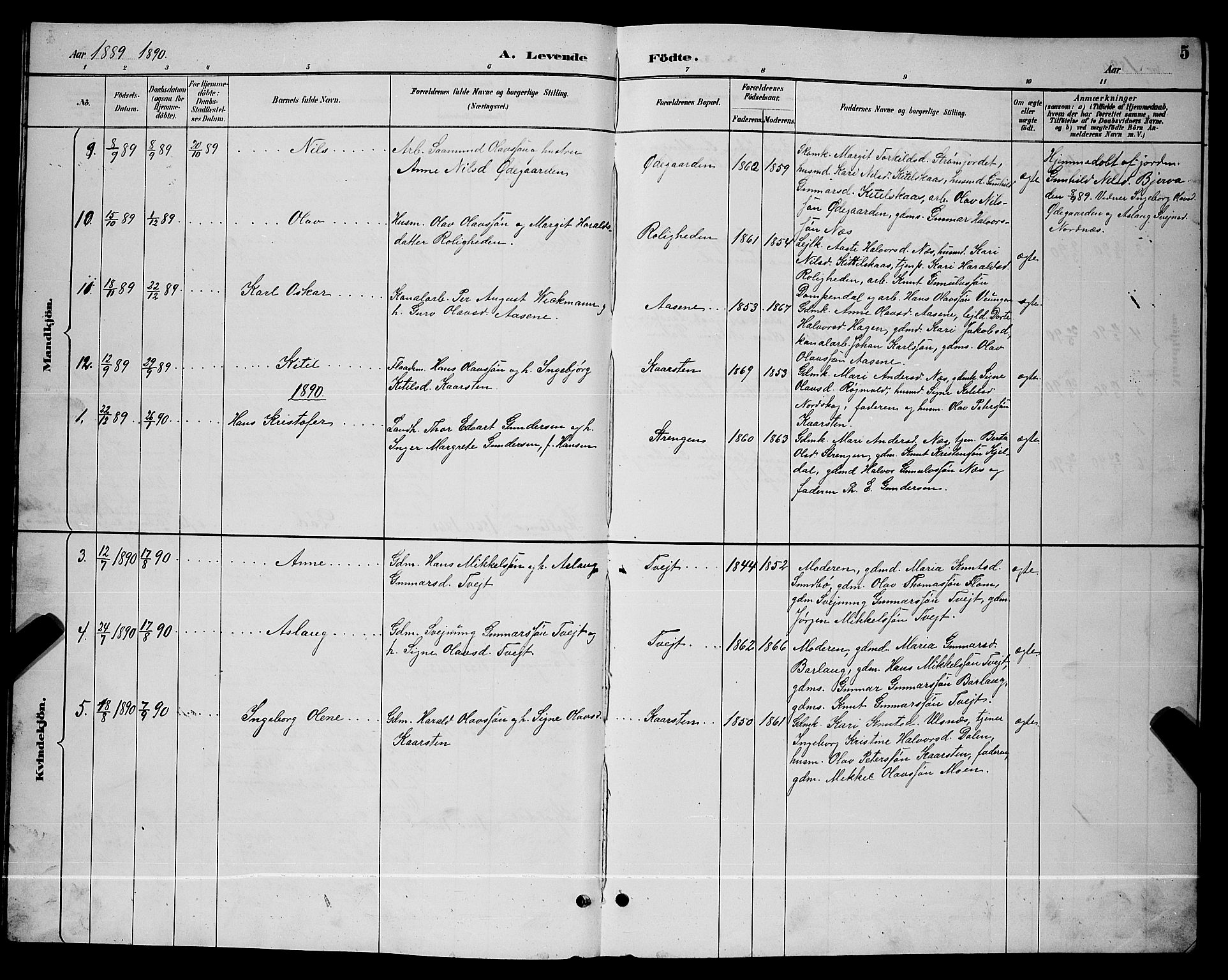 Lunde kirkebøker, AV/SAKO-A-282/G/Gb/L0002: Parish register (copy) no. II 2, 1888-1895, p. 5