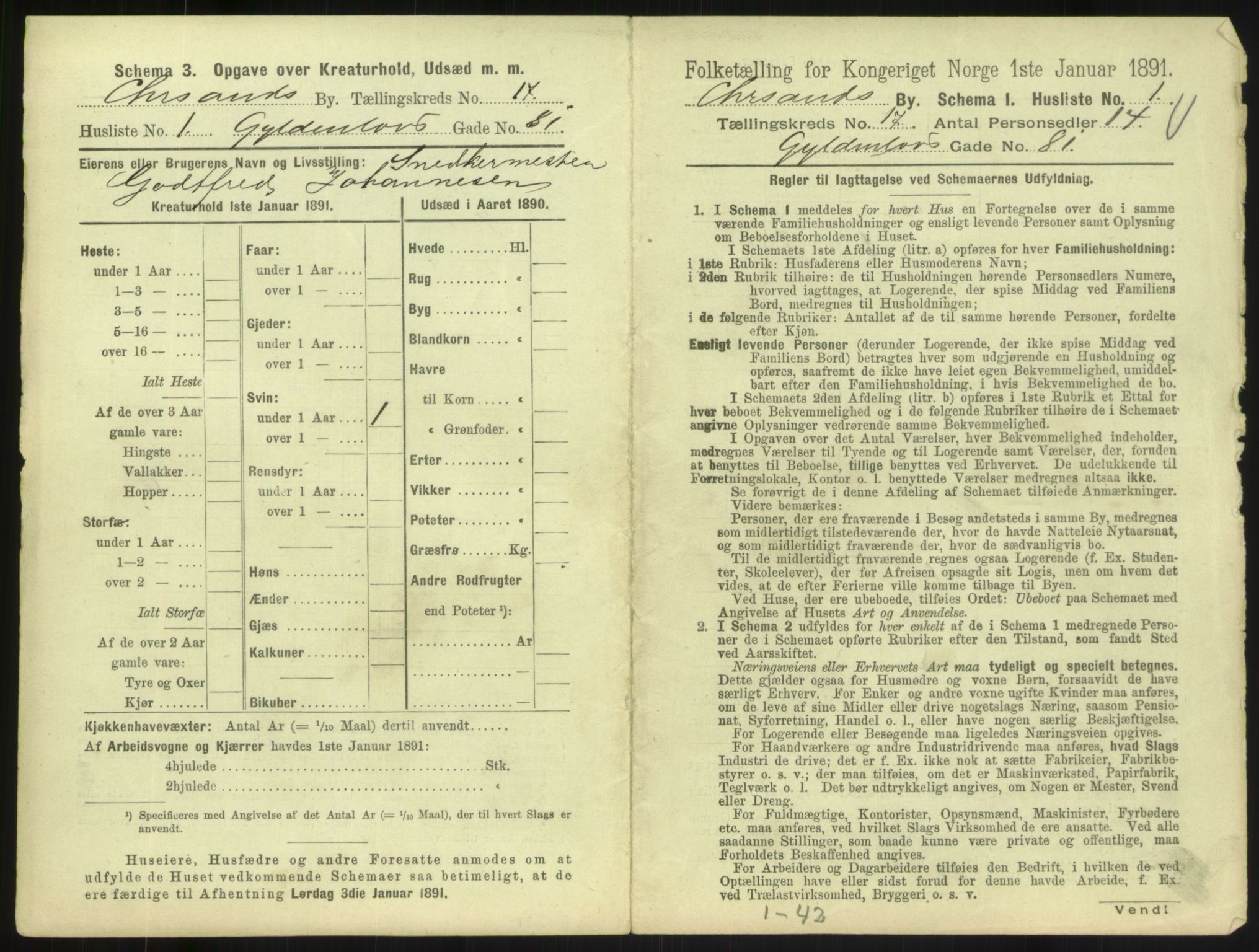 RA, 1891 census for 1001 Kristiansand, 1891, p. 984