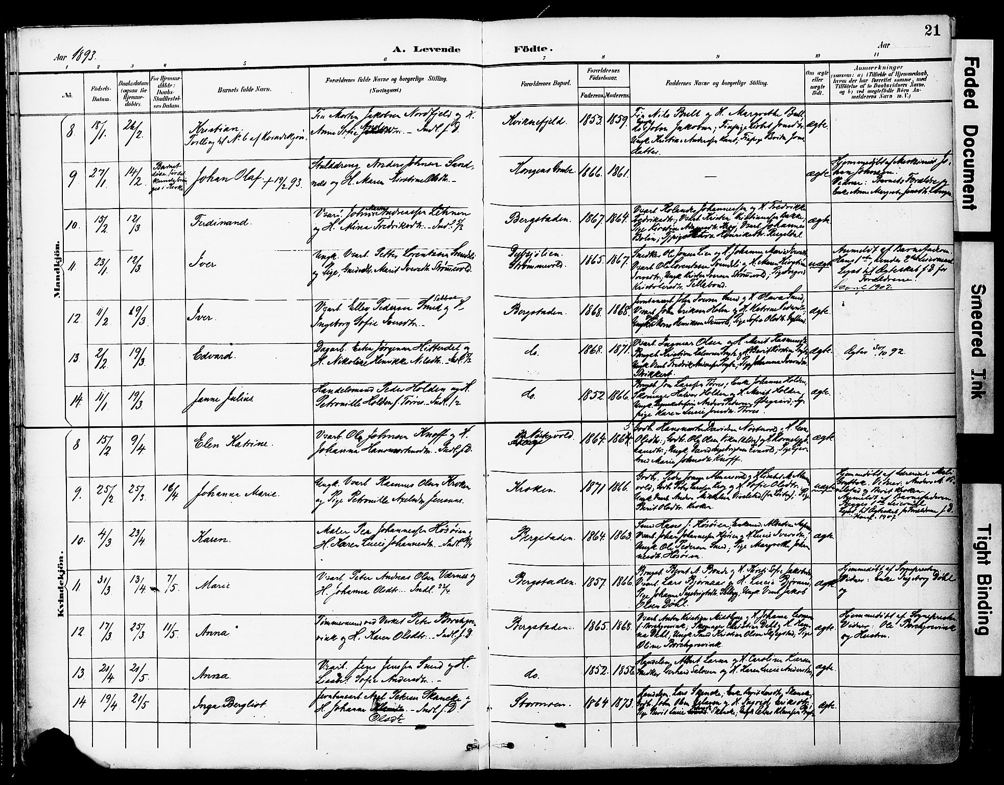 Ministerialprotokoller, klokkerbøker og fødselsregistre - Sør-Trøndelag, SAT/A-1456/681/L0935: Parish register (official) no. 681A13, 1890-1898, p. 21
