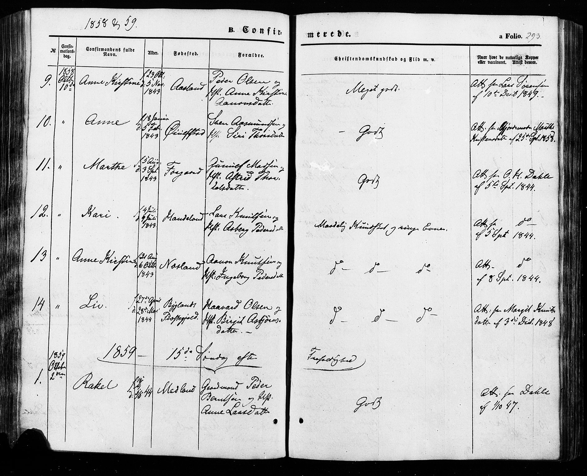 Åseral sokneprestkontor, AV/SAK-1111-0051/F/Fa/L0002: Parish register (official) no. A 2, 1854-1884, p. 293