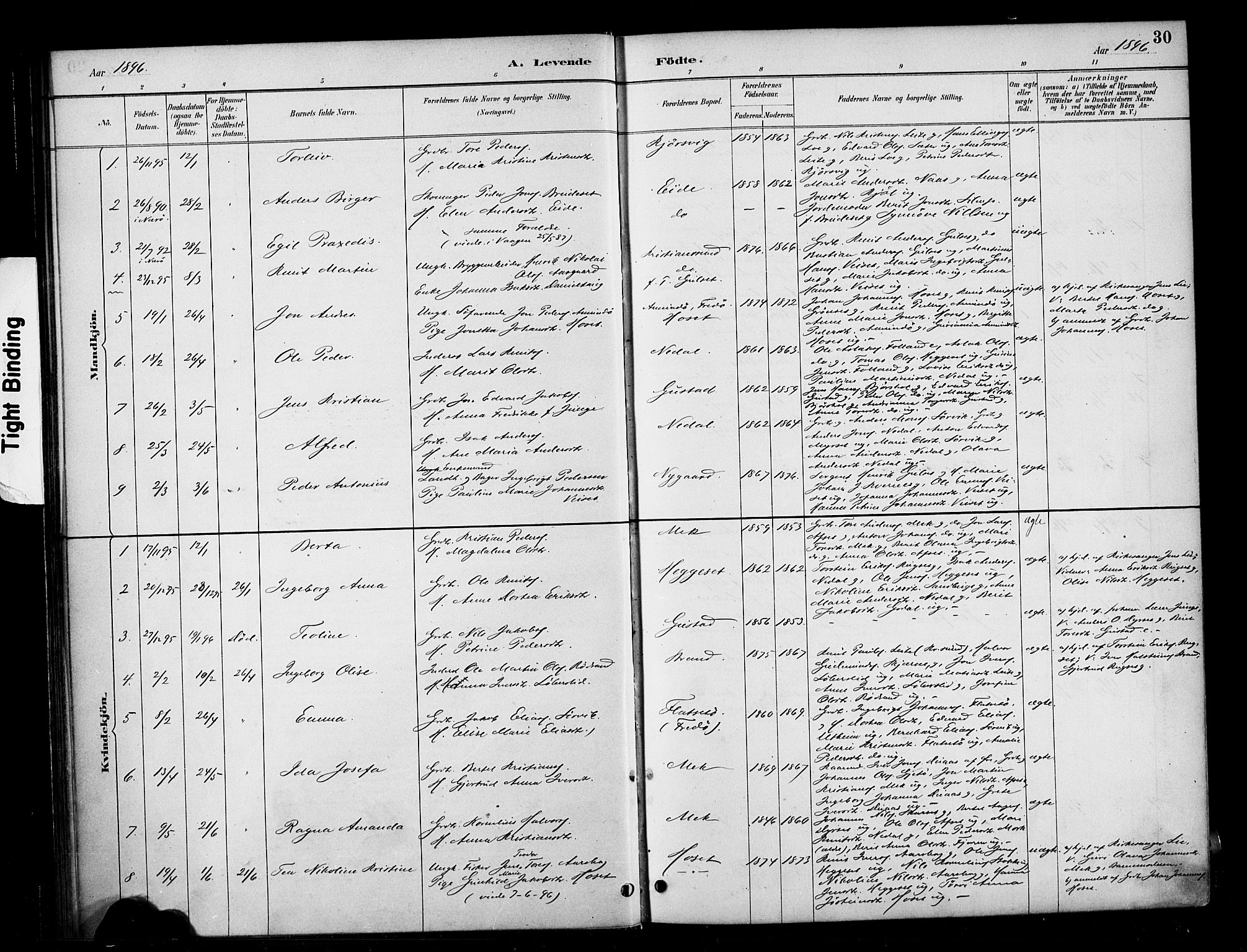 Ministerialprotokoller, klokkerbøker og fødselsregistre - Møre og Romsdal, SAT/A-1454/568/L0809: Parish register (official) no. 568A13, 1884-1900, p. 30