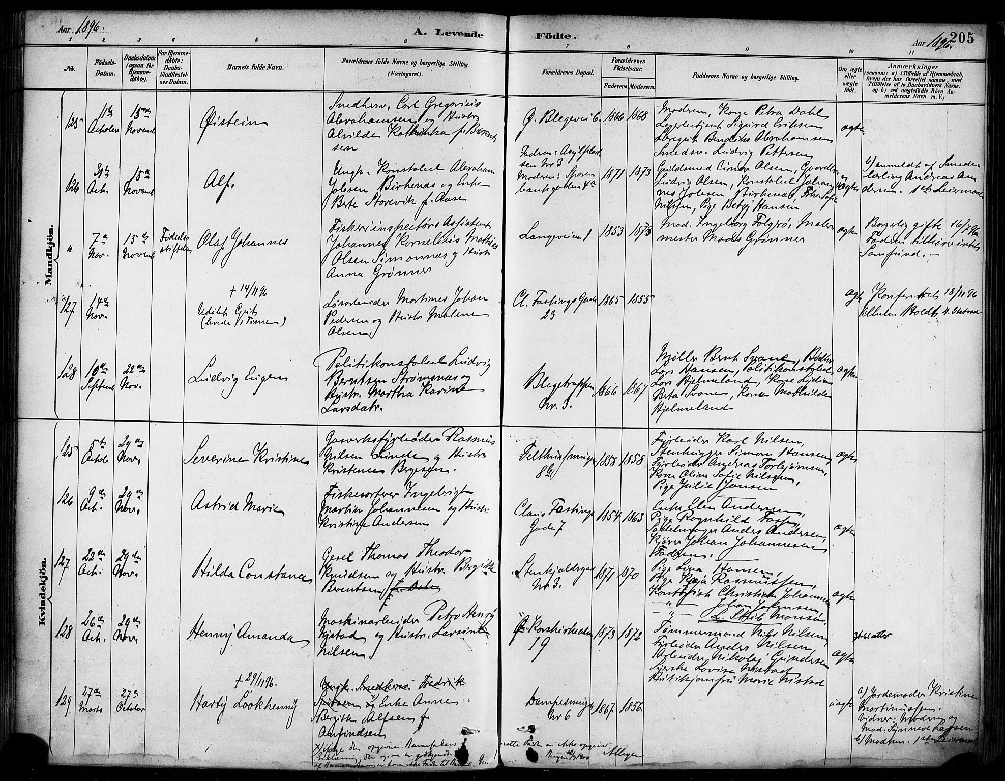 Korskirken sokneprestembete, SAB/A-76101/H/Haa/L0022: Parish register (official) no. B 8, 1889-1899, p. 205