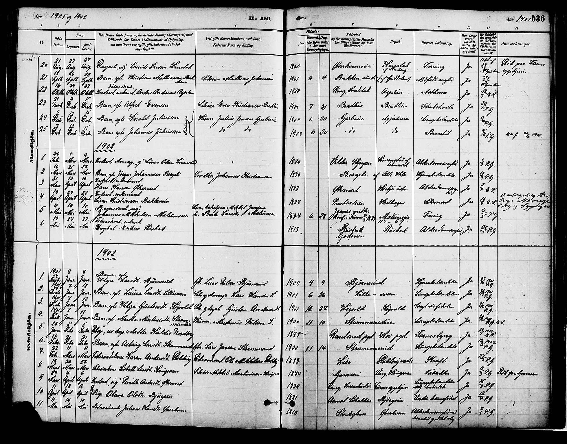 Vang prestekontor, Hedmark, AV/SAH-PREST-008/H/Ha/Haa/L0018B: Parish register (official) no. 18B, 1880-1906, p. 536