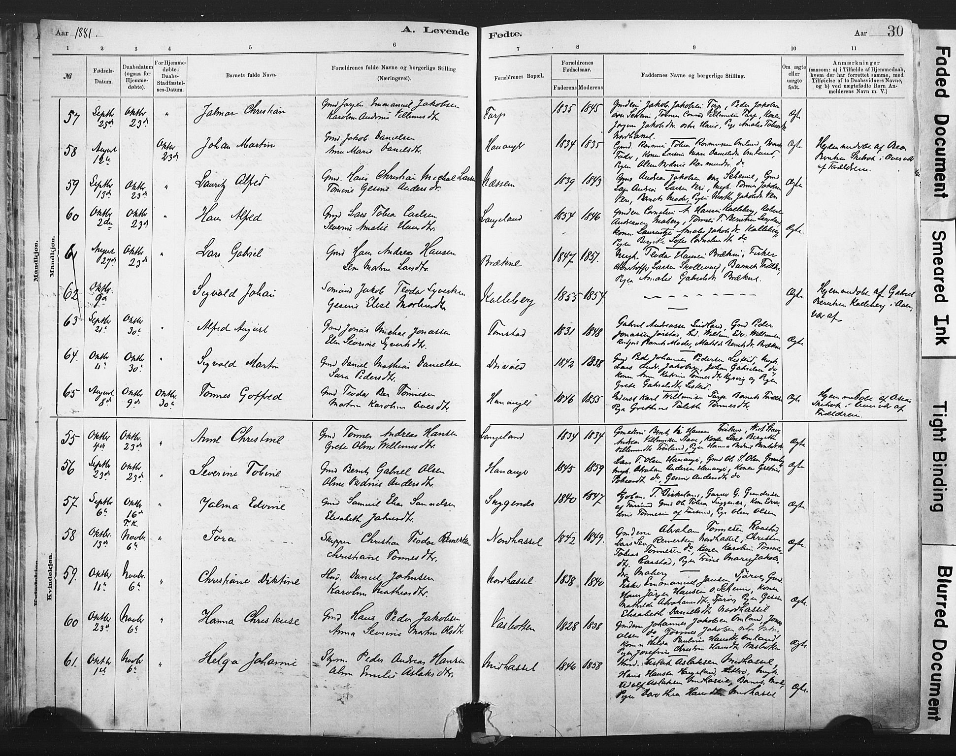 Lista sokneprestkontor, AV/SAK-1111-0027/F/Fa/L0012: Parish register (official) no. A 12, 1879-1903, p. 30