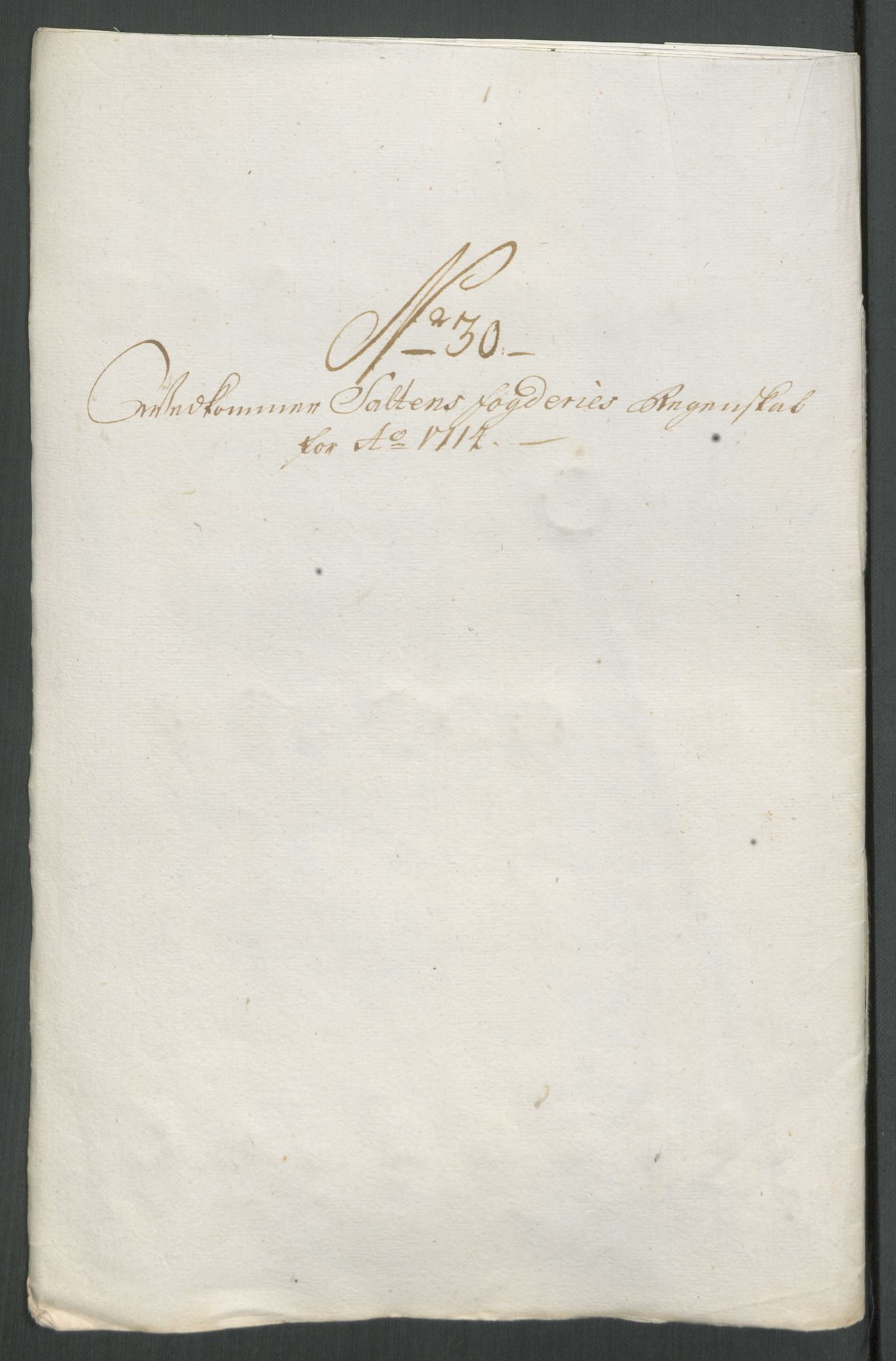 Rentekammeret inntil 1814, Reviderte regnskaper, Fogderegnskap, AV/RA-EA-4092/R66/L4584: Fogderegnskap Salten, 1714, p. 268