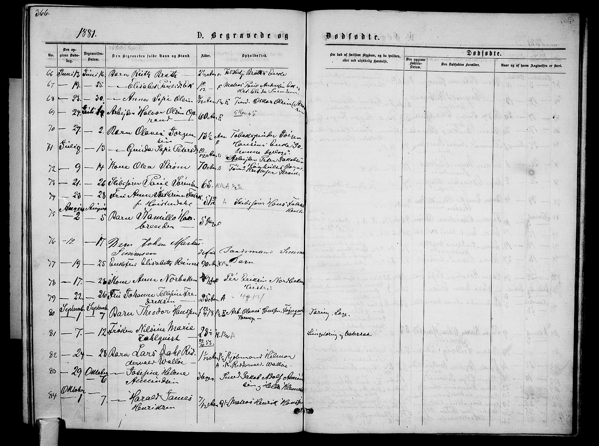 Tønsberg kirkebøker, AV/SAKO-A-330/G/Ga/L0005: Parish register (copy) no. 5, 1875-1885, p. 366