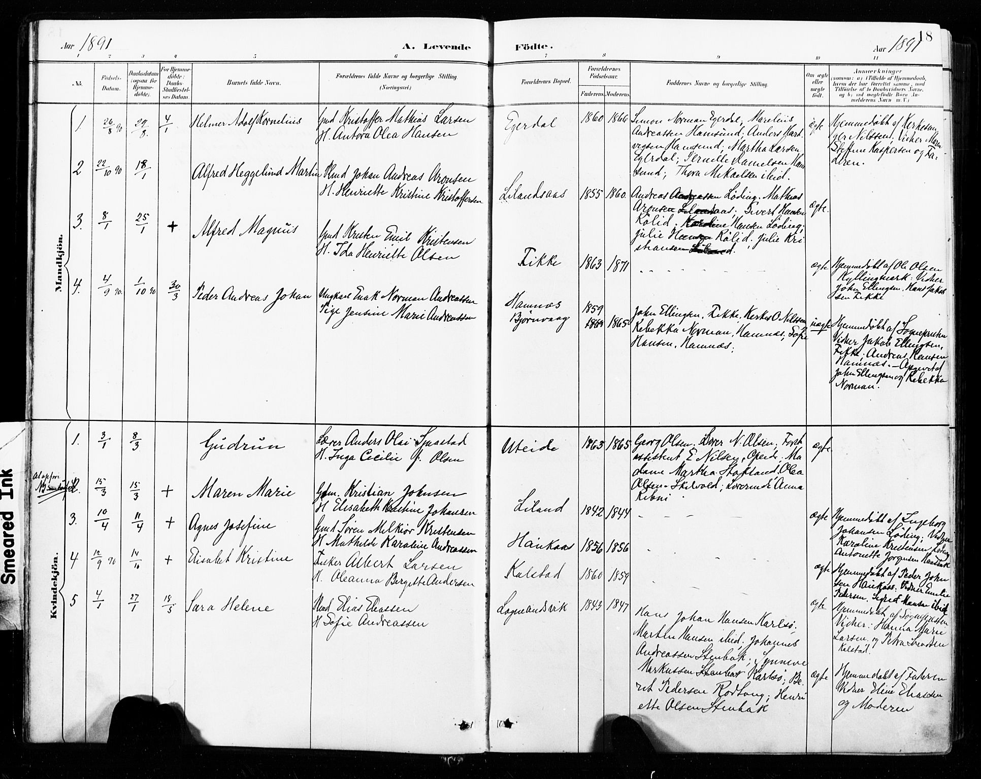 Ministerialprotokoller, klokkerbøker og fødselsregistre - Nordland, SAT/A-1459/859/L0847: Parish register (official) no. 859A07, 1890-1899, p. 18