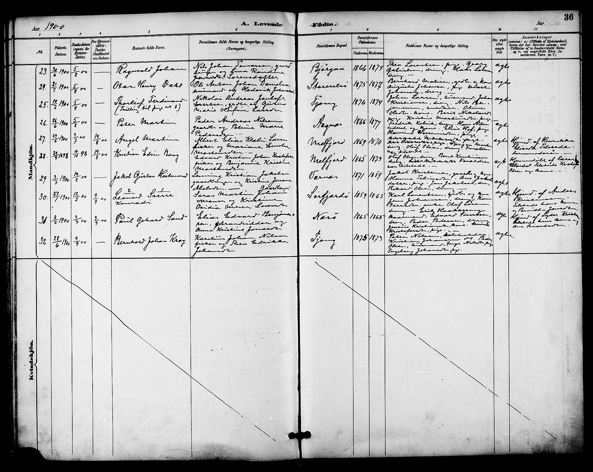 Ministerialprotokoller, klokkerbøker og fødselsregistre - Nordland, SAT/A-1459/841/L0610: Parish register (official) no. 841A14, 1890-1901, p. 36