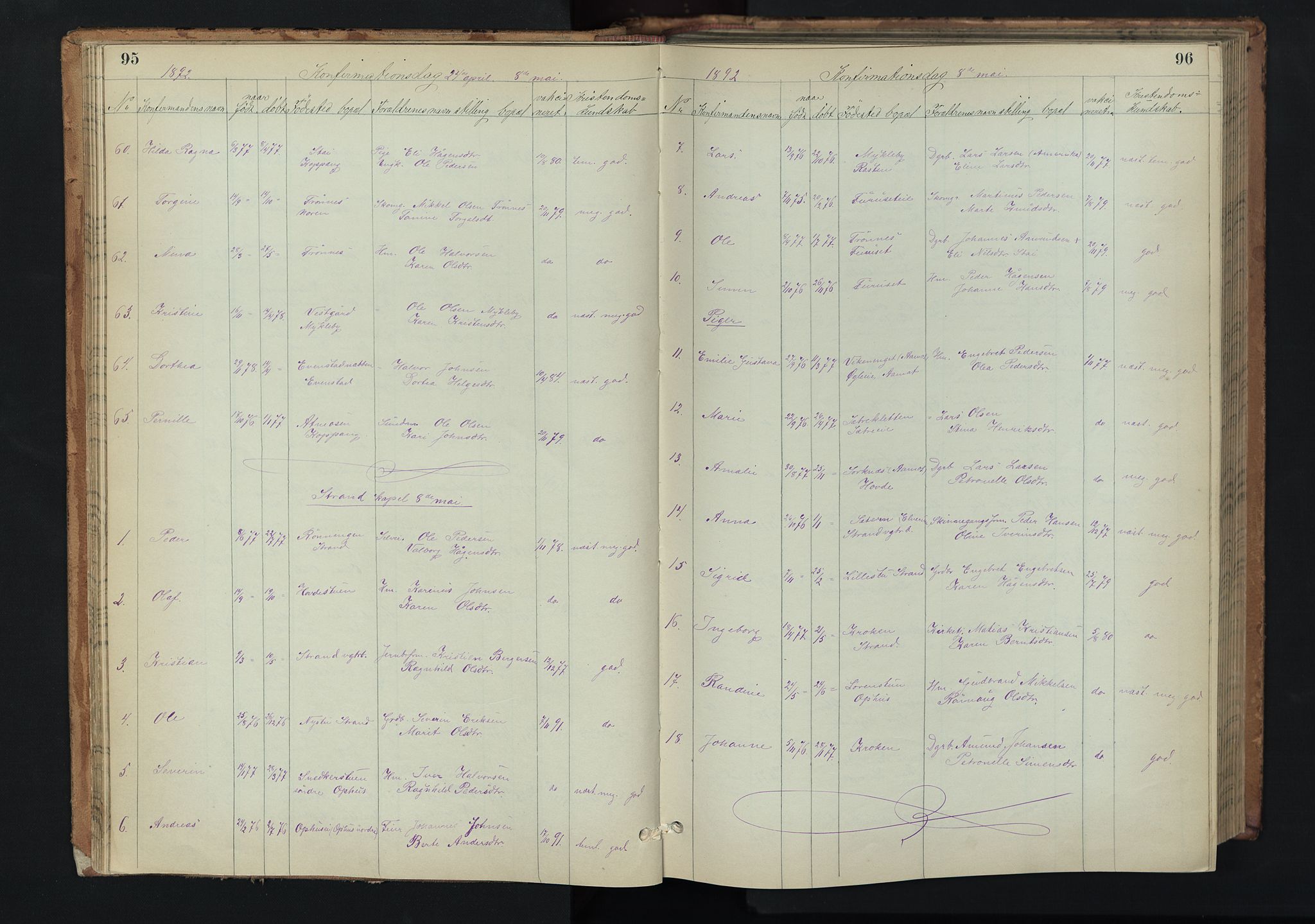 Stor-Elvdal prestekontor, AV/SAH-PREST-052/H/Ha/Hab/L0002: Parish register (copy) no. 2, 1860-1894, p. 95-96