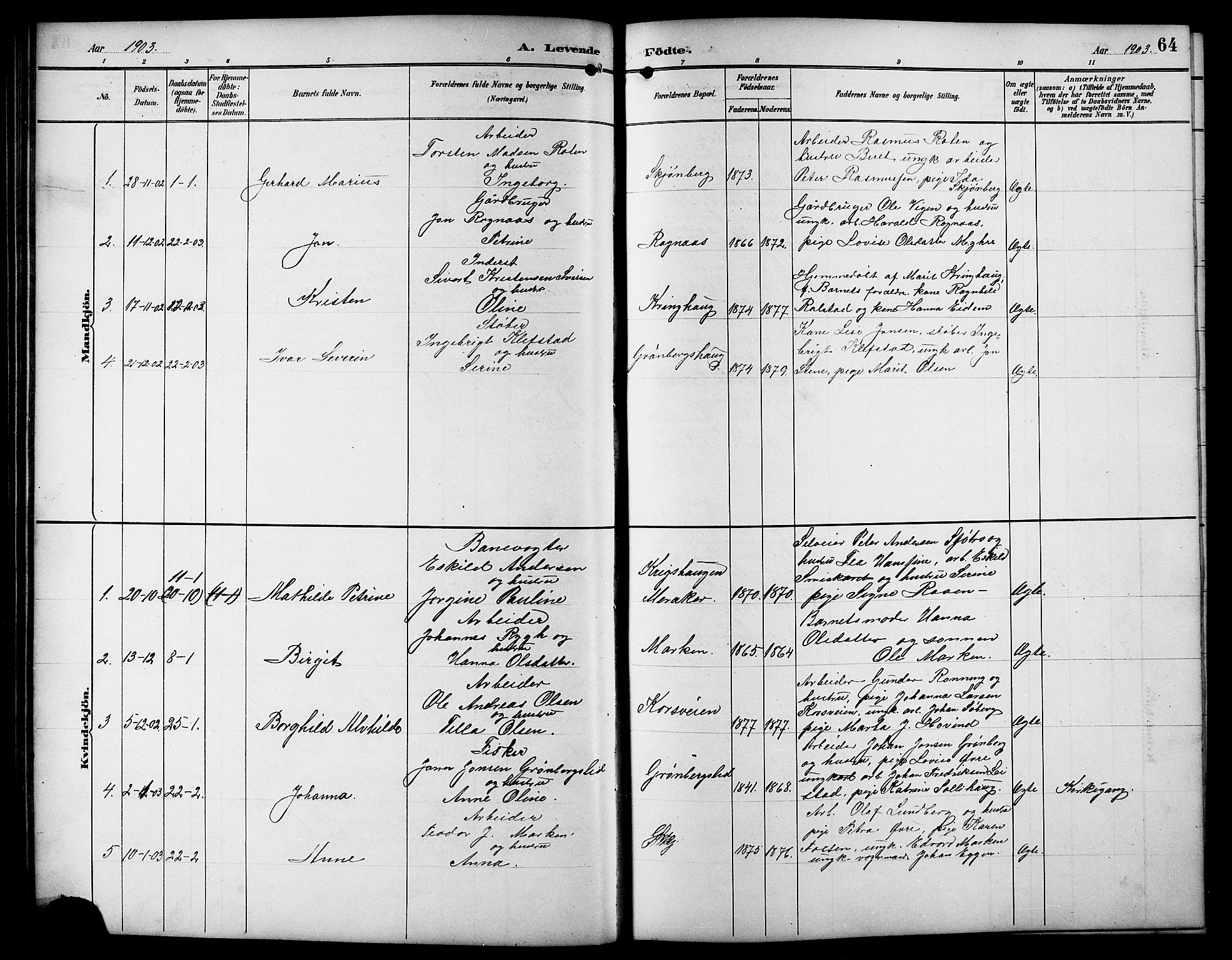 Ministerialprotokoller, klokkerbøker og fødselsregistre - Sør-Trøndelag, SAT/A-1456/617/L0431: Parish register (copy) no. 617C01, 1889-1910, p. 64