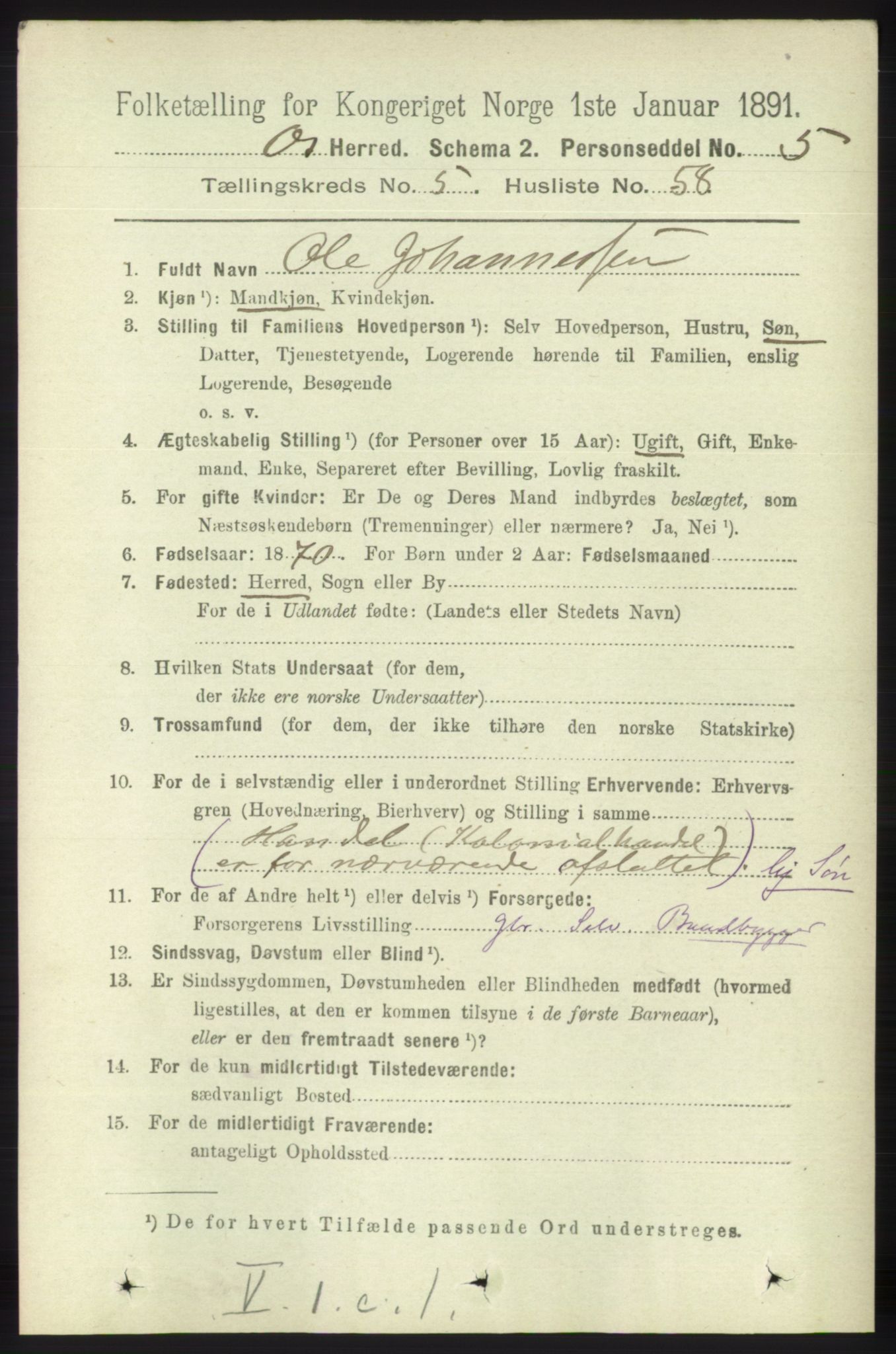 RA, 1891 census for 1243 Os, 1891, p. 1293