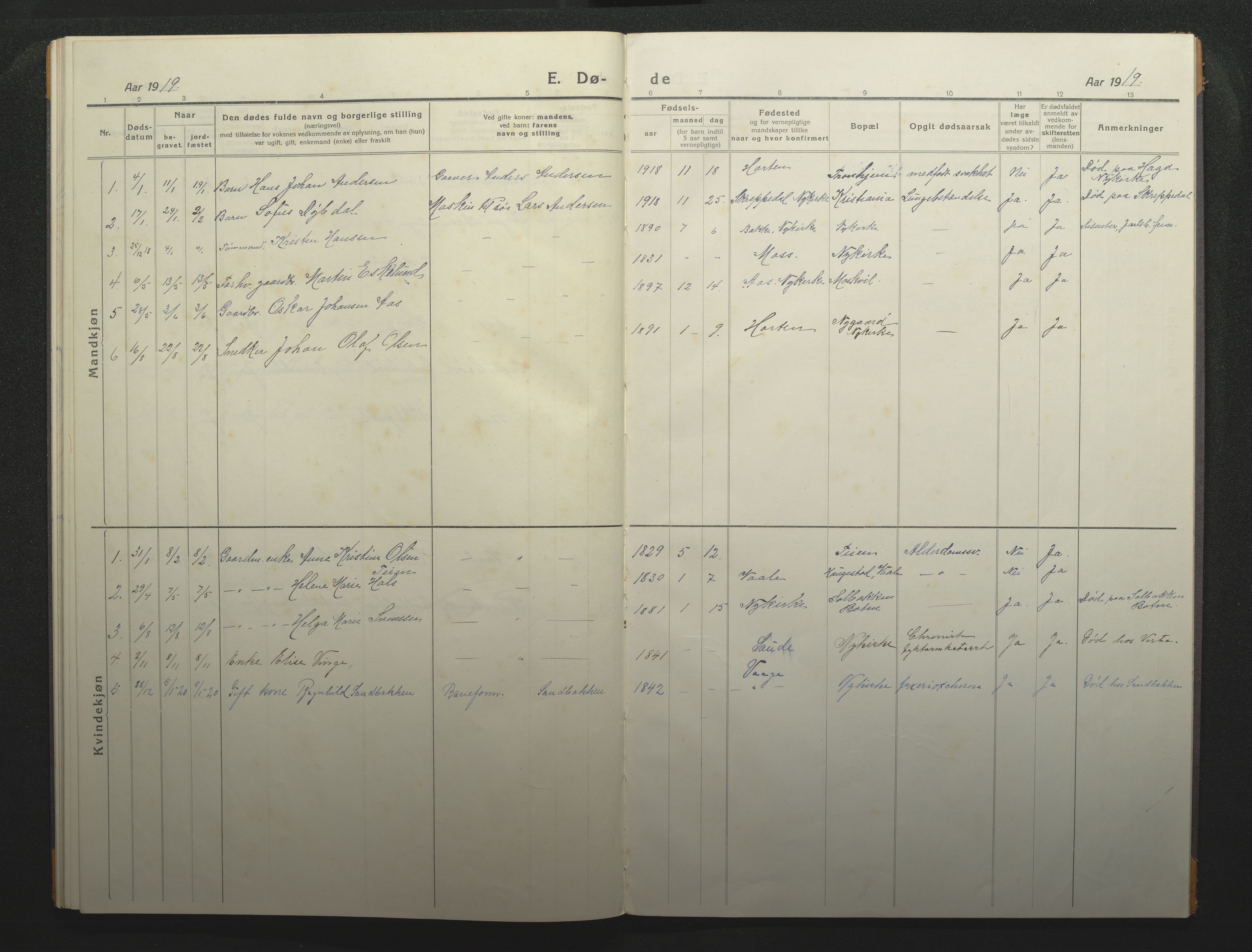 Borre kirkebøker, AV/SAKO-A-338/F/Fc/L0004: Parish register (official) no. III 4, 1918-1925