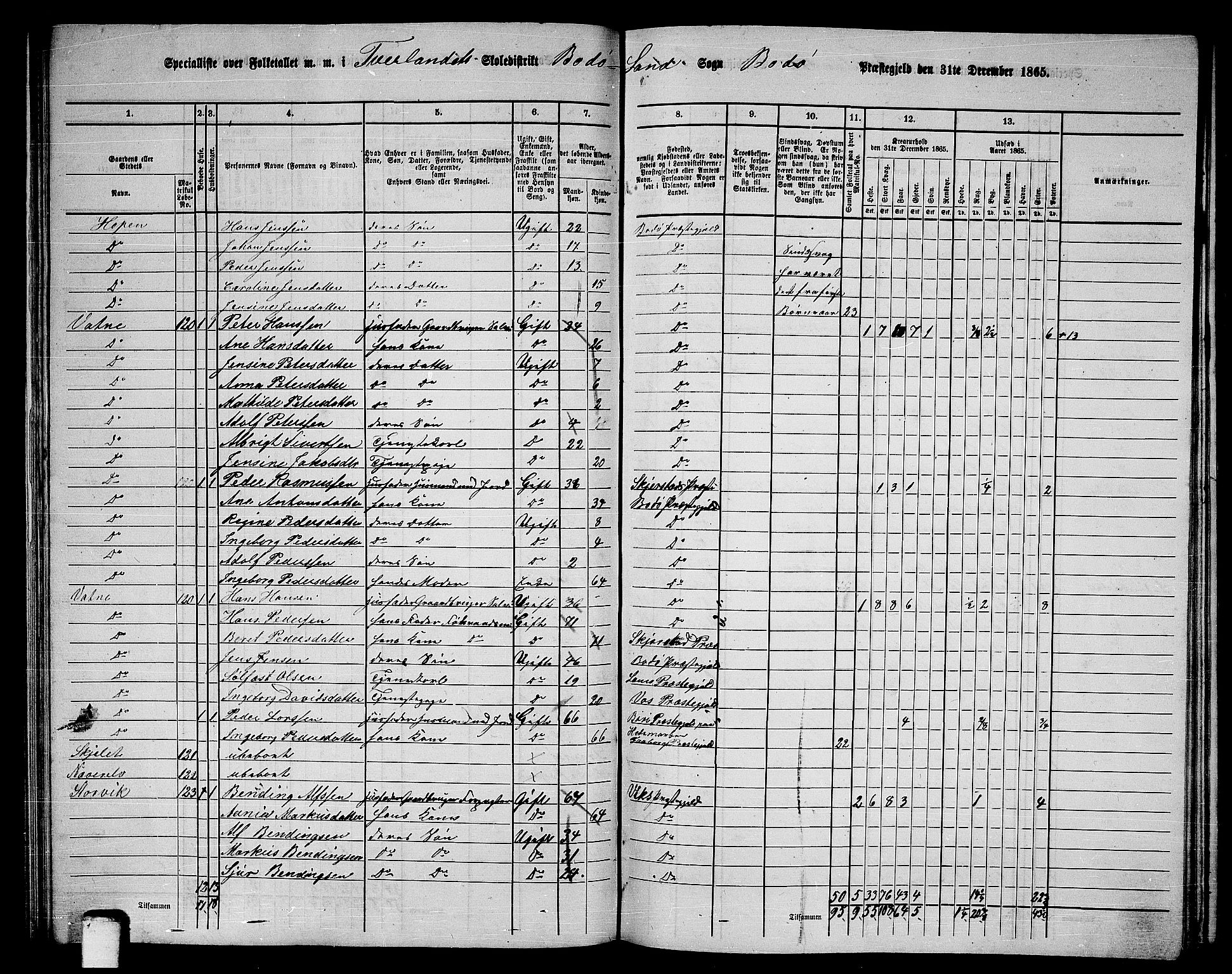 RA, 1865 census for Bodø/Bodø, 1865, p. 76