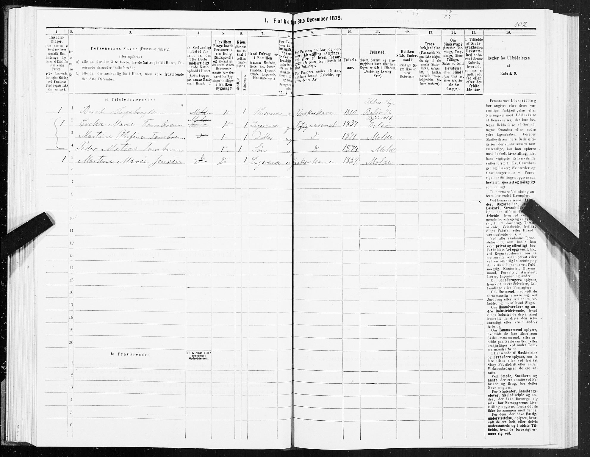 SAT, 1875 census for 1502P Molde, 1875, p. 1102