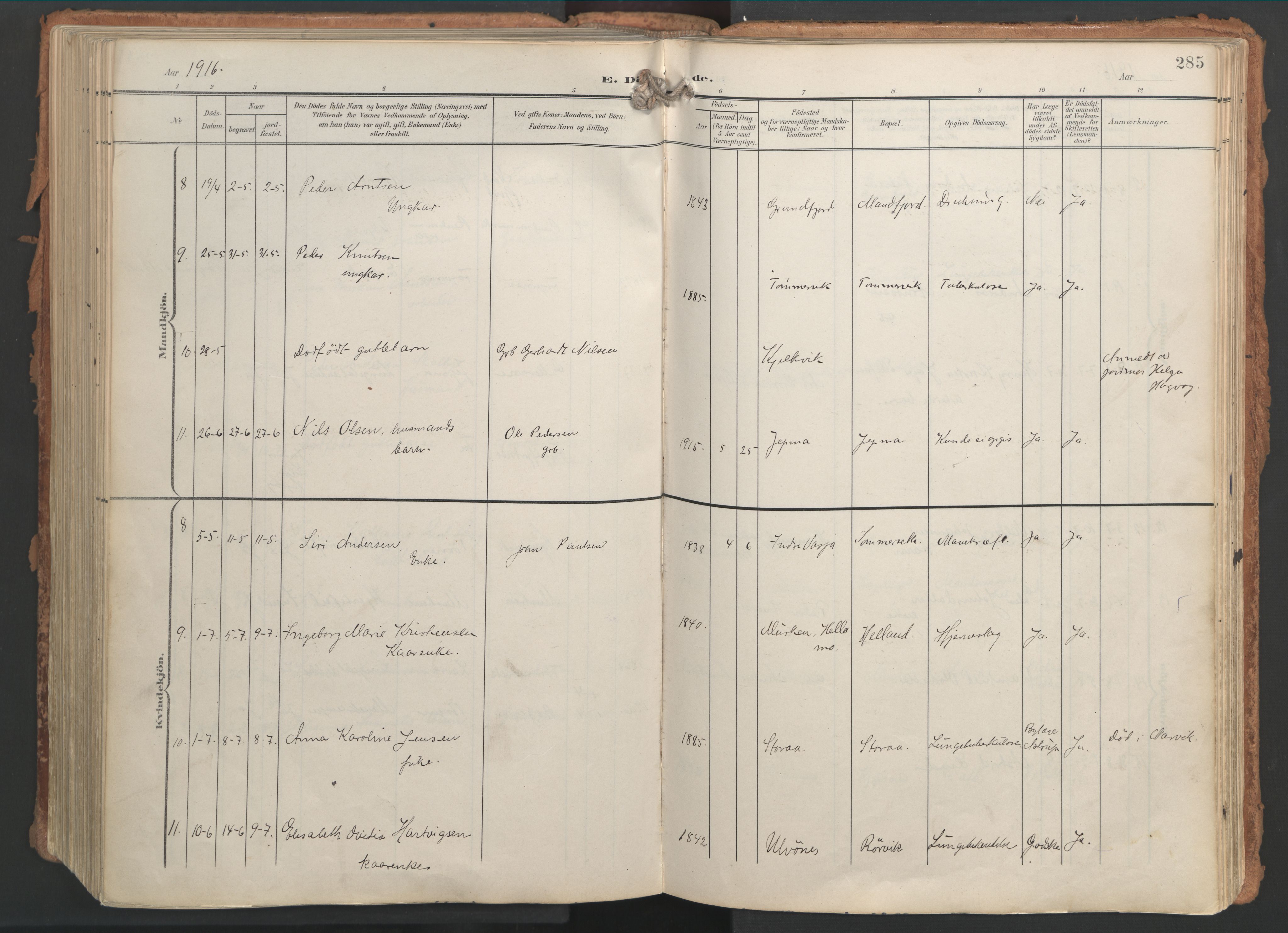 Ministerialprotokoller, klokkerbøker og fødselsregistre - Nordland, AV/SAT-A-1459/861/L0871: Parish register (official) no. 861A06, 1903-1916, p. 285