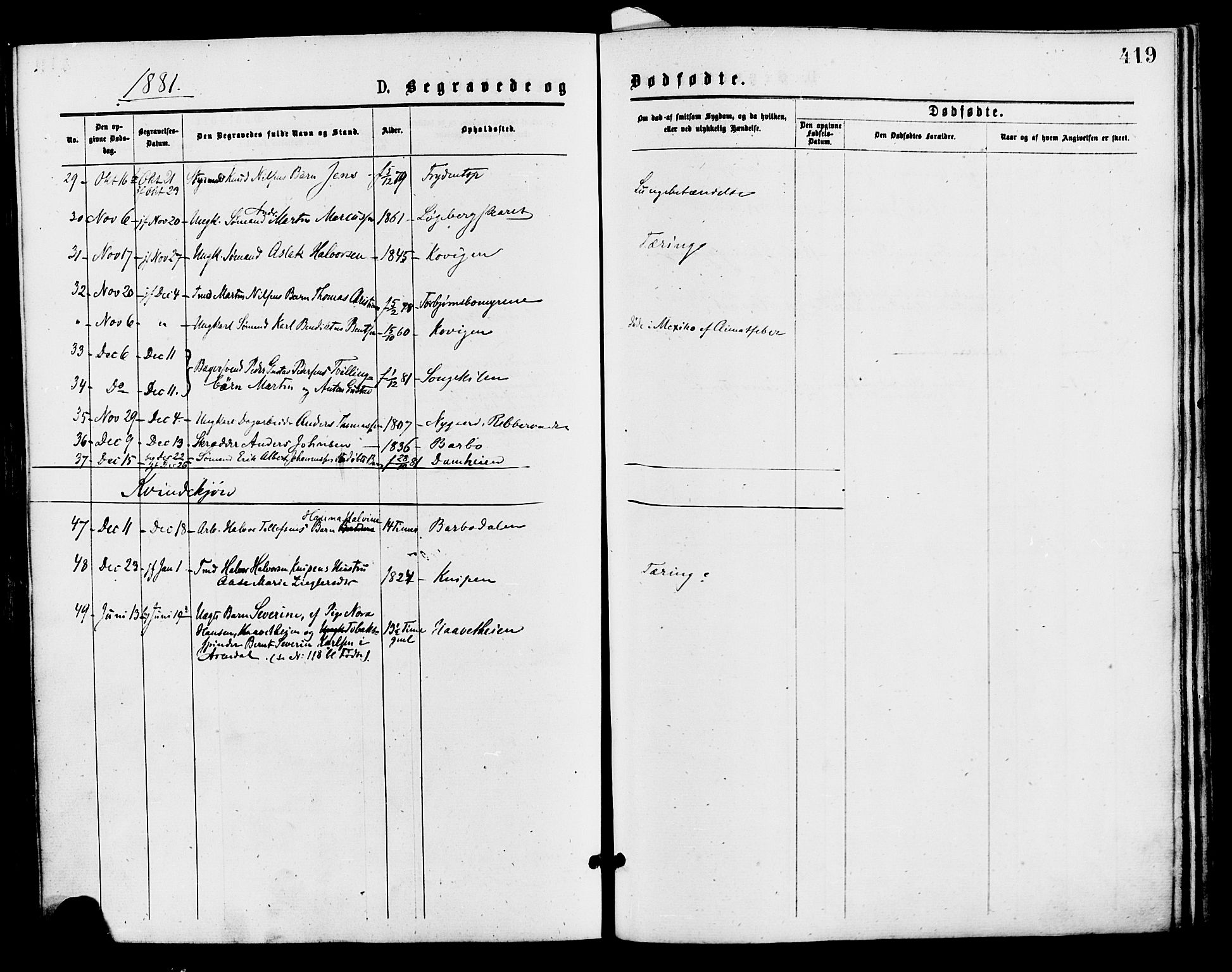 Barbu sokneprestkontor, AV/SAK-1111-0003/F/Fa/L0001: Parish register (official) no. A 1 /1, 1878-1883, p. 419