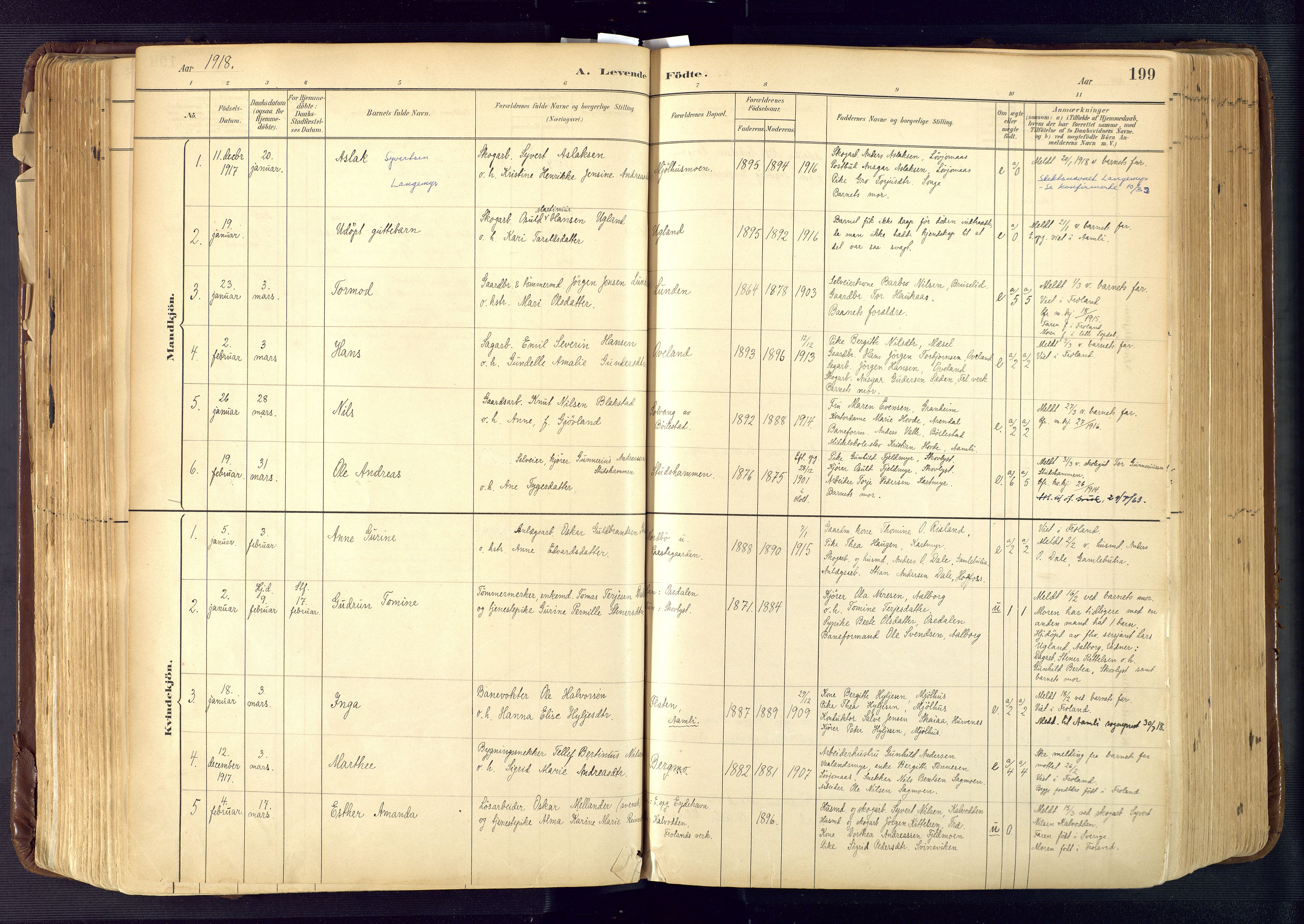 Froland sokneprestkontor, SAK/1111-0013/F/Fa/L0005: Parish register (official) no. A 5, 1882-1921, p. 199