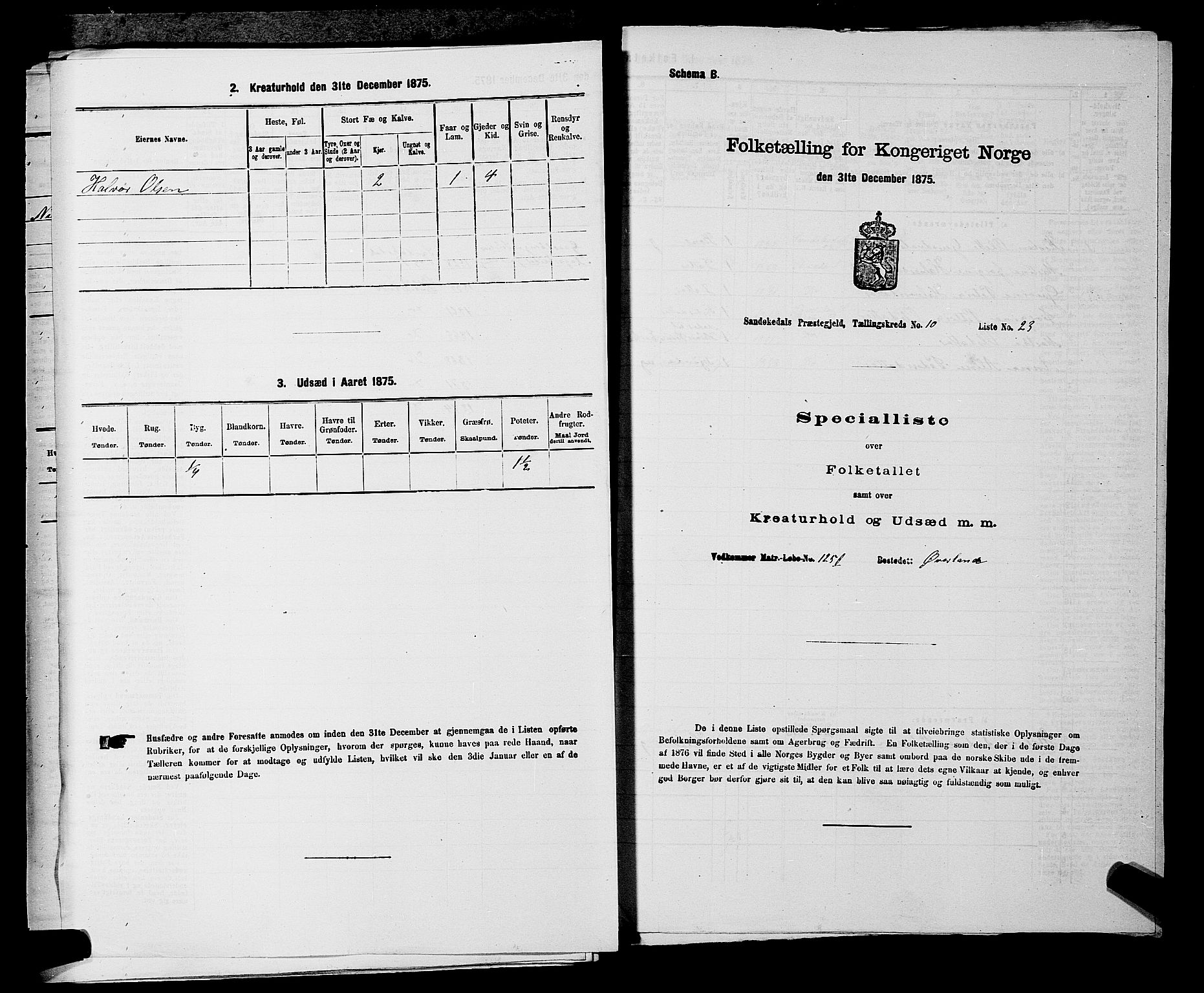 SAKO, 1875 census for 0816P Sannidal, 1875, p. 742